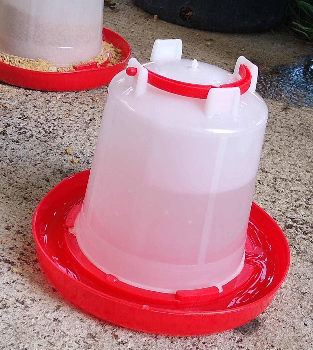 DoubleWood 4PACK Plastic Poultry Drinker Chick Waterer Kit 1 L Waterer Hanging Poultry Water Container (4) customer photo 2