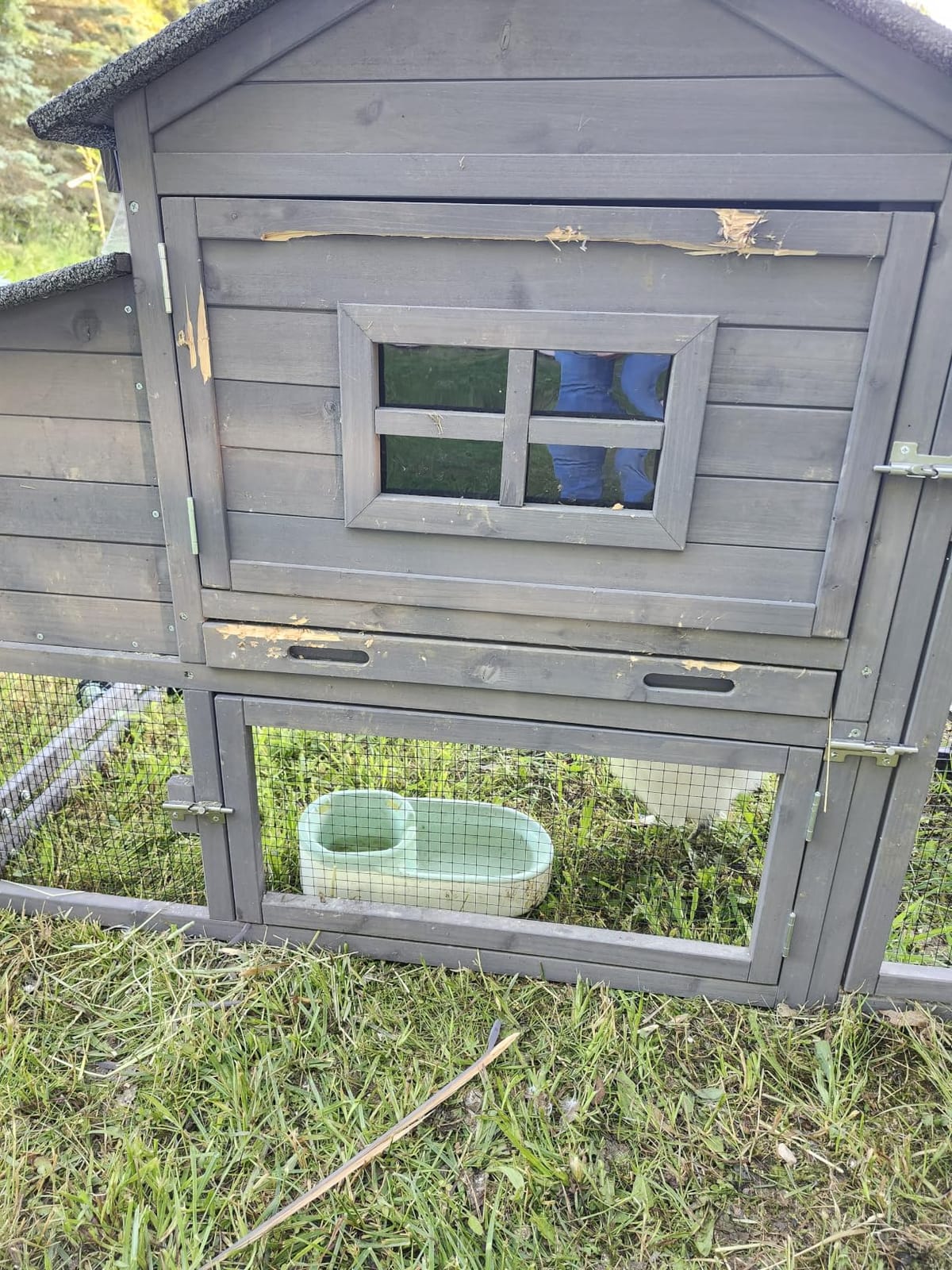 Aivituvin Chicken Run Chicken Coop Expansion Pen 71in,Outdoor Enclosure Playpen for Chicken, Rabbit, Duck, Cats, Chicken Run Only (Black, AIR29) customer photo 1