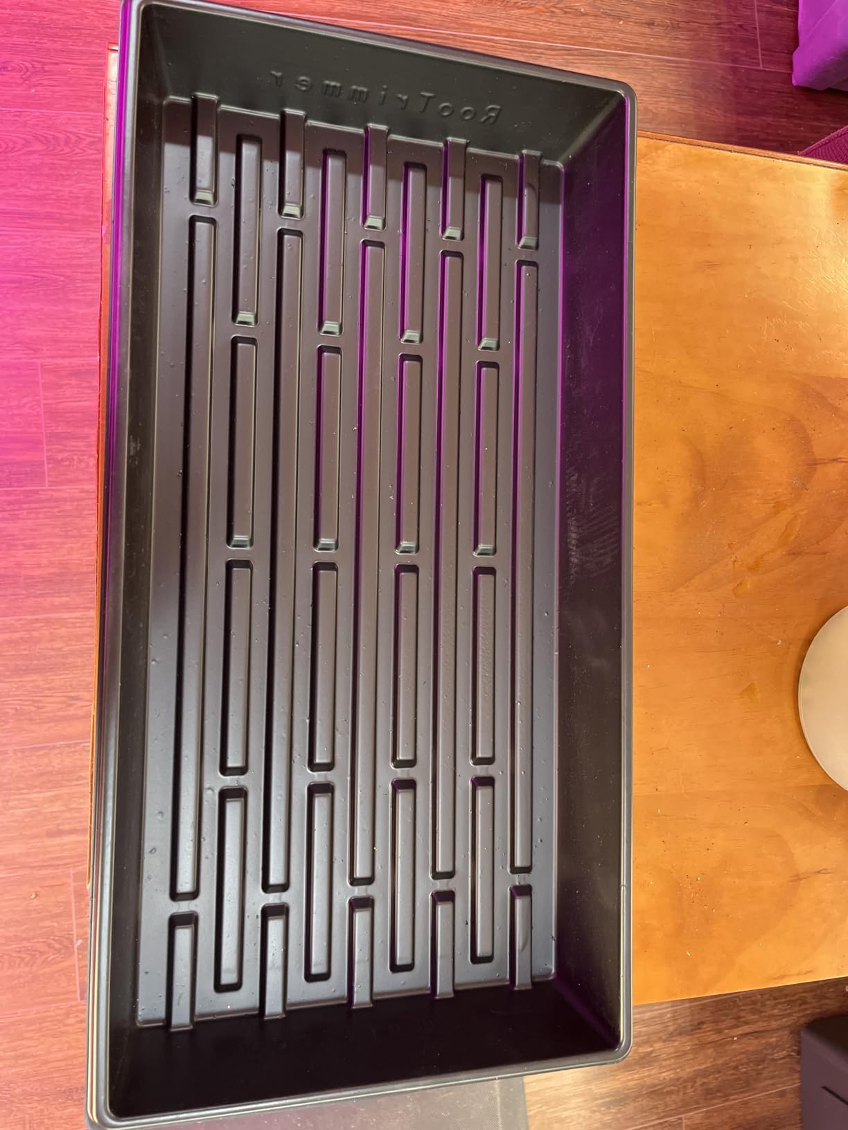 RooTrimmer 10 Pack 1020 Trays, Extra Thick Heavy Duty Seed Starting Trays - No Holes, No Leak, Reusable Propagation Flats for Microgreens, Seedlings, Plant Germination, Fodder and Transplant customer photo 2