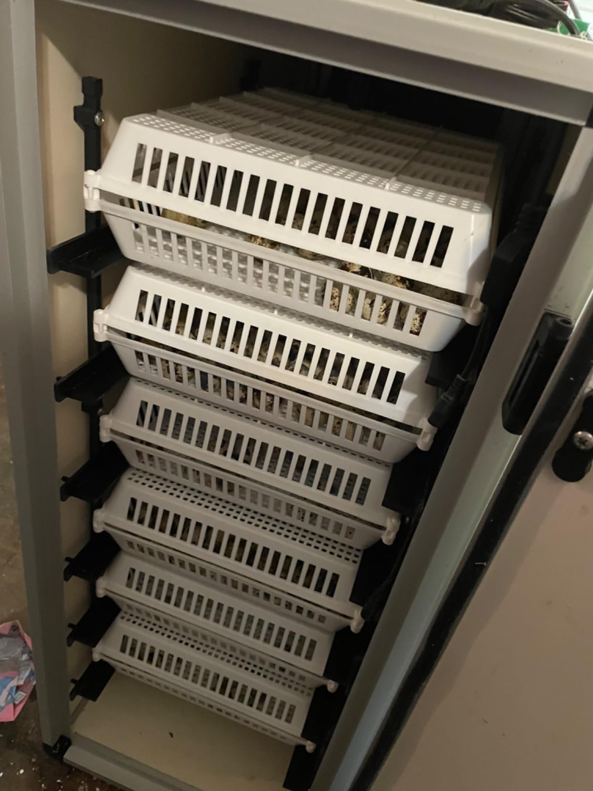 Hatching Time Incubators for Hatching Eggs, CT180SH Egg Setter & Hatcher customer photo 2