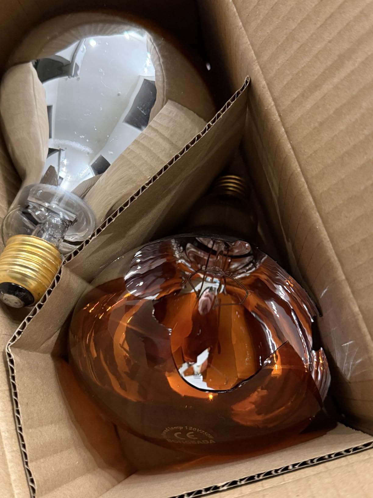 Heat Lamp Bulb R40 250 Watt 2 Pack Painted Red Infrared Glass Lamp Bulb for Food Service, Brooder Bulb, Chicks, Pet, Bathroom. customer photo 1