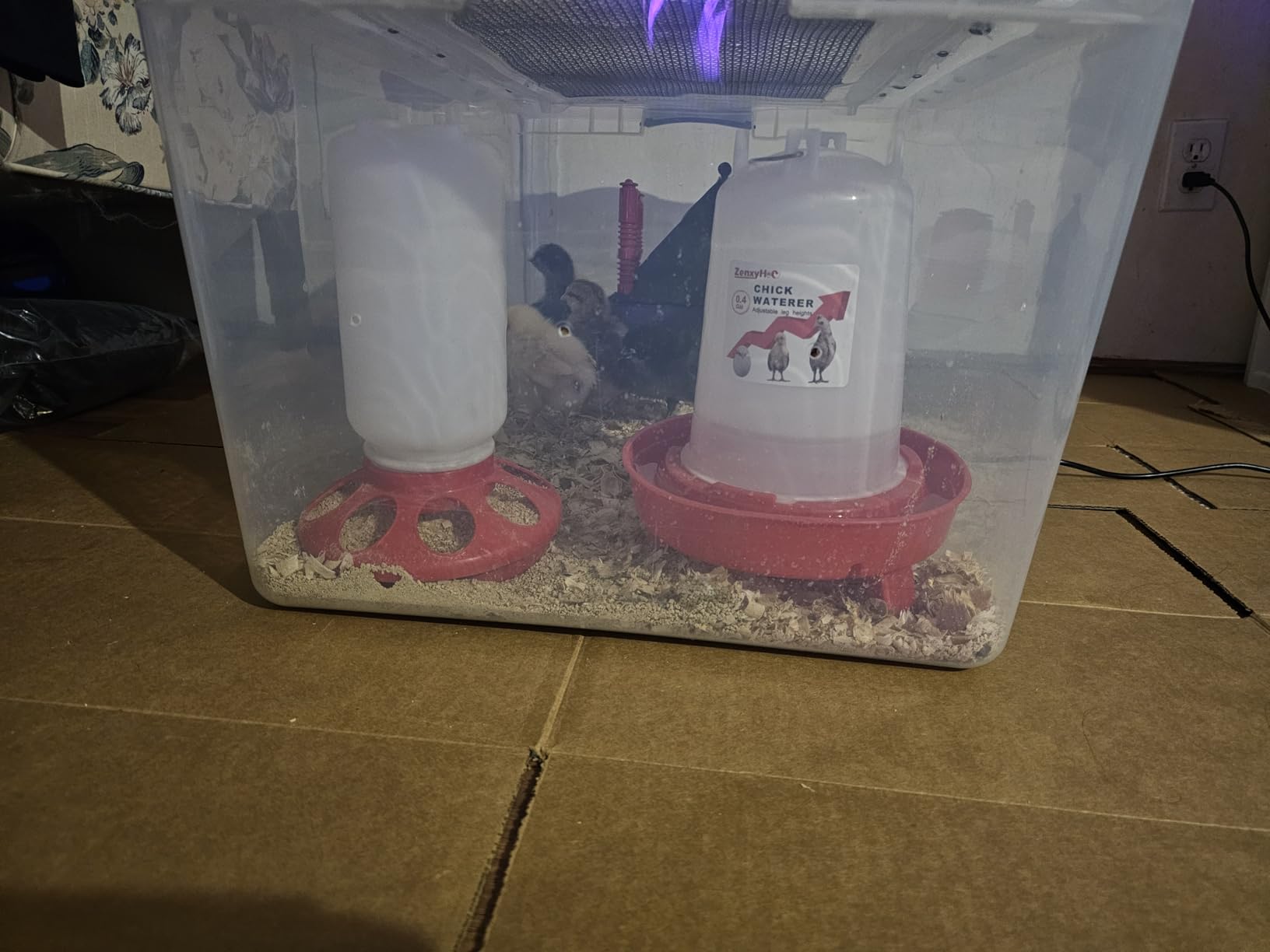 2-in-1 Chick Starter Set: 0.3 Gal Feeder & 0.4 Gal Waterer Red customer photo 1
