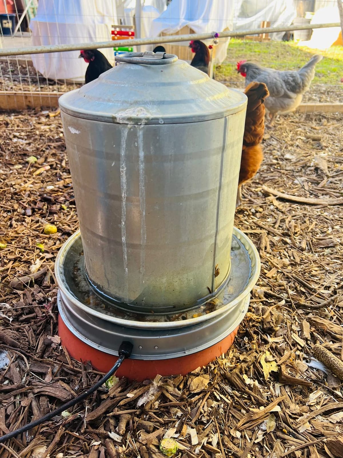Chicken Water Heater Base for Winter, Heated Chicken Waterer 5 Gallon 125W customer photo 2