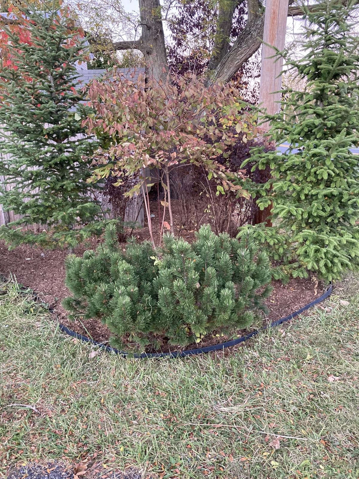 Gardzen 1.5