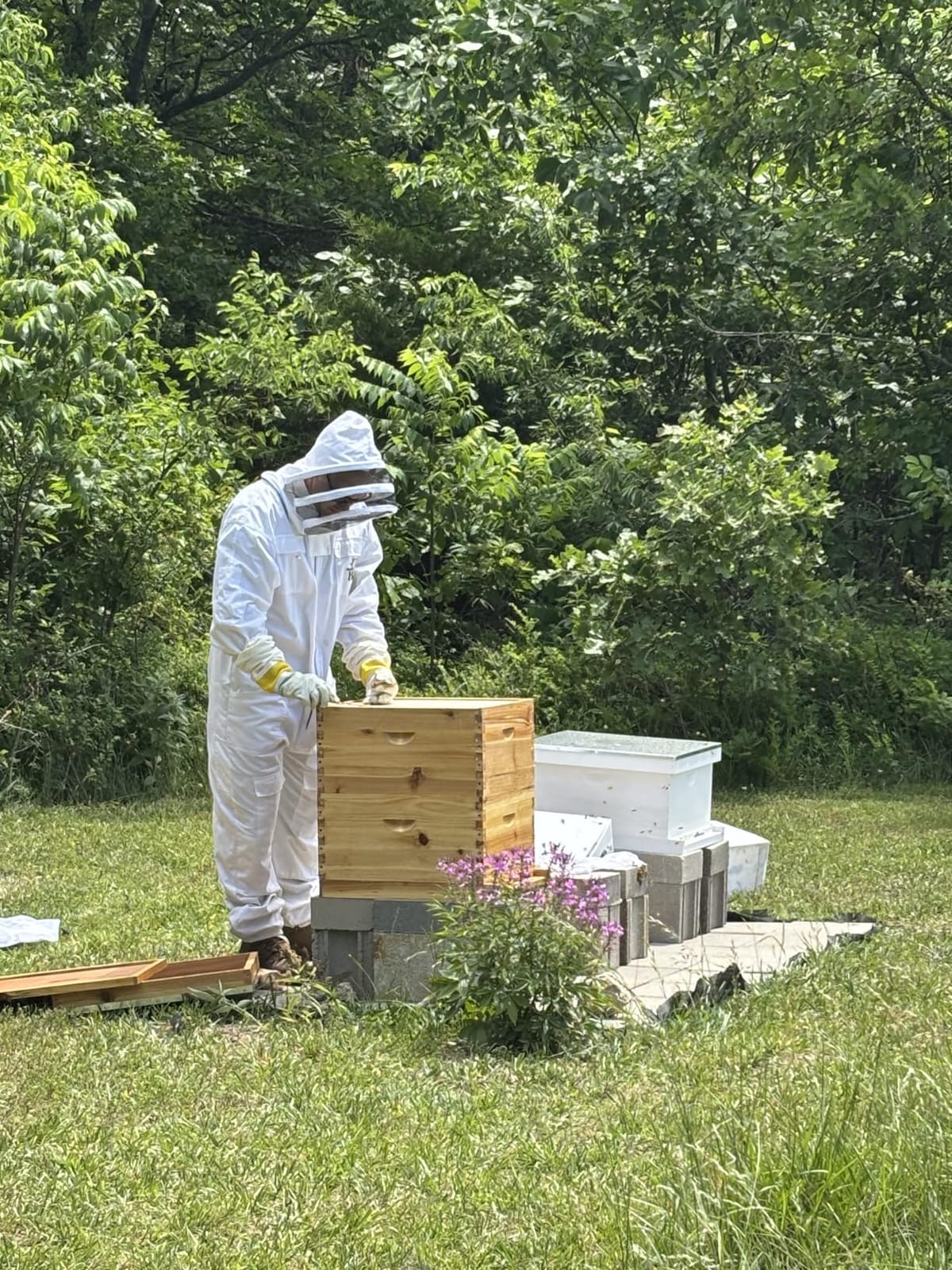 10-Frame Langstroth Bee Hive Complete Bee Hive Kit Beeswax Coated Include Beehive Frames and Waxed Foundation Sheets for Beekeeper (2 Deep Beehives Box & 1 Medium Box, Unassembled) customer photo 2