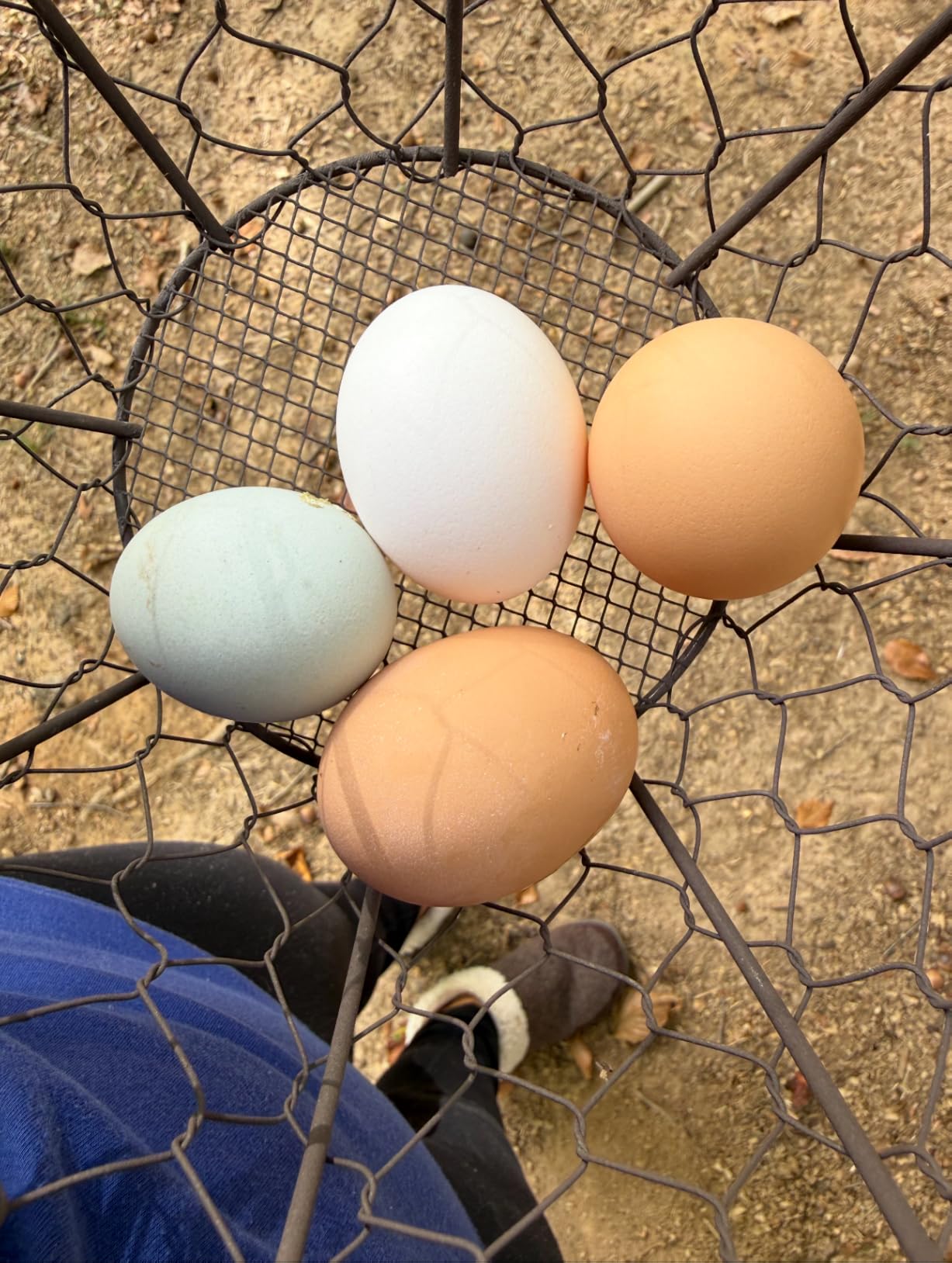 Wire Egg Basket for Gathering Fresh Eggs,Rustic Metal Egg Basket customer photo 1
