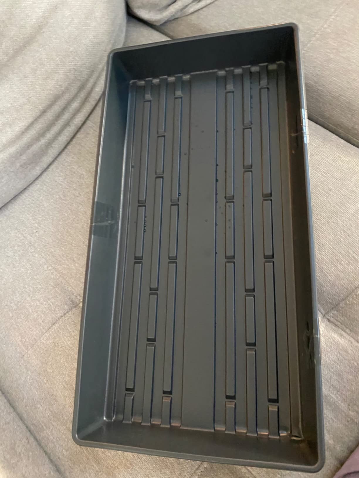 1020 Plant Trays Without Holes, 10 Pack customer photo 1