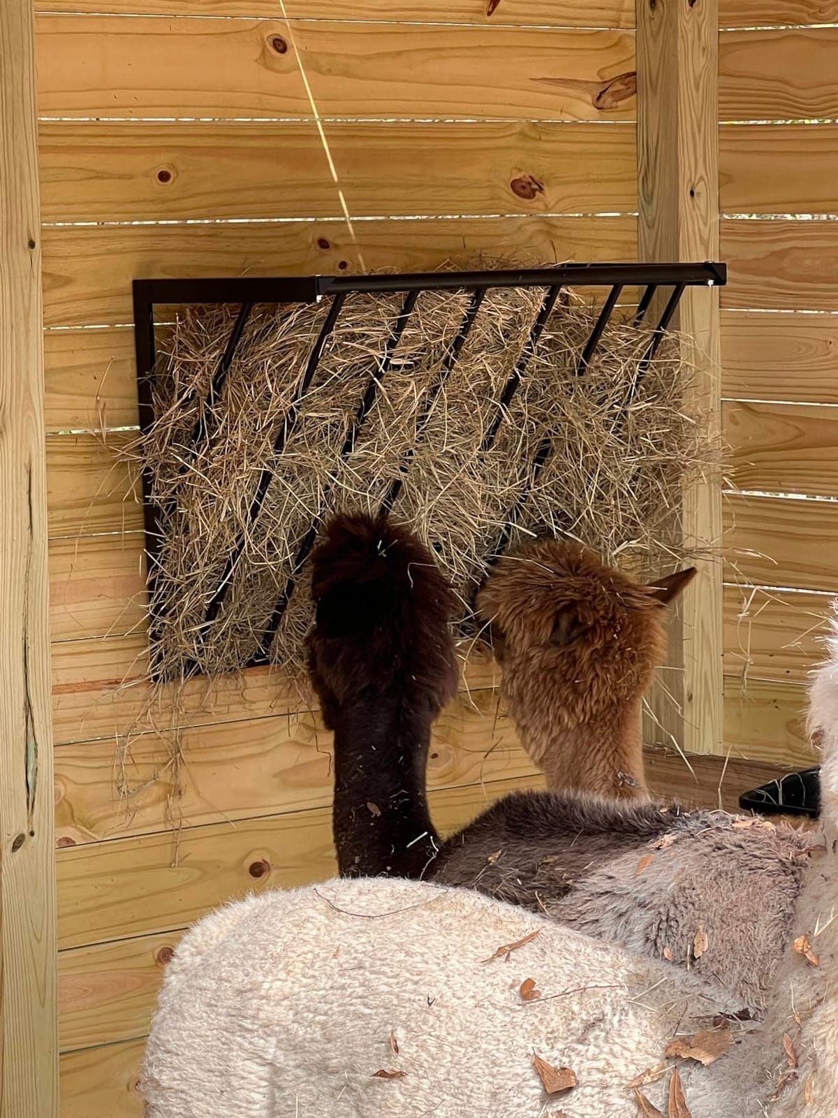 31.5'' Horse Hay Feeder 24 Gallon customer photo 2