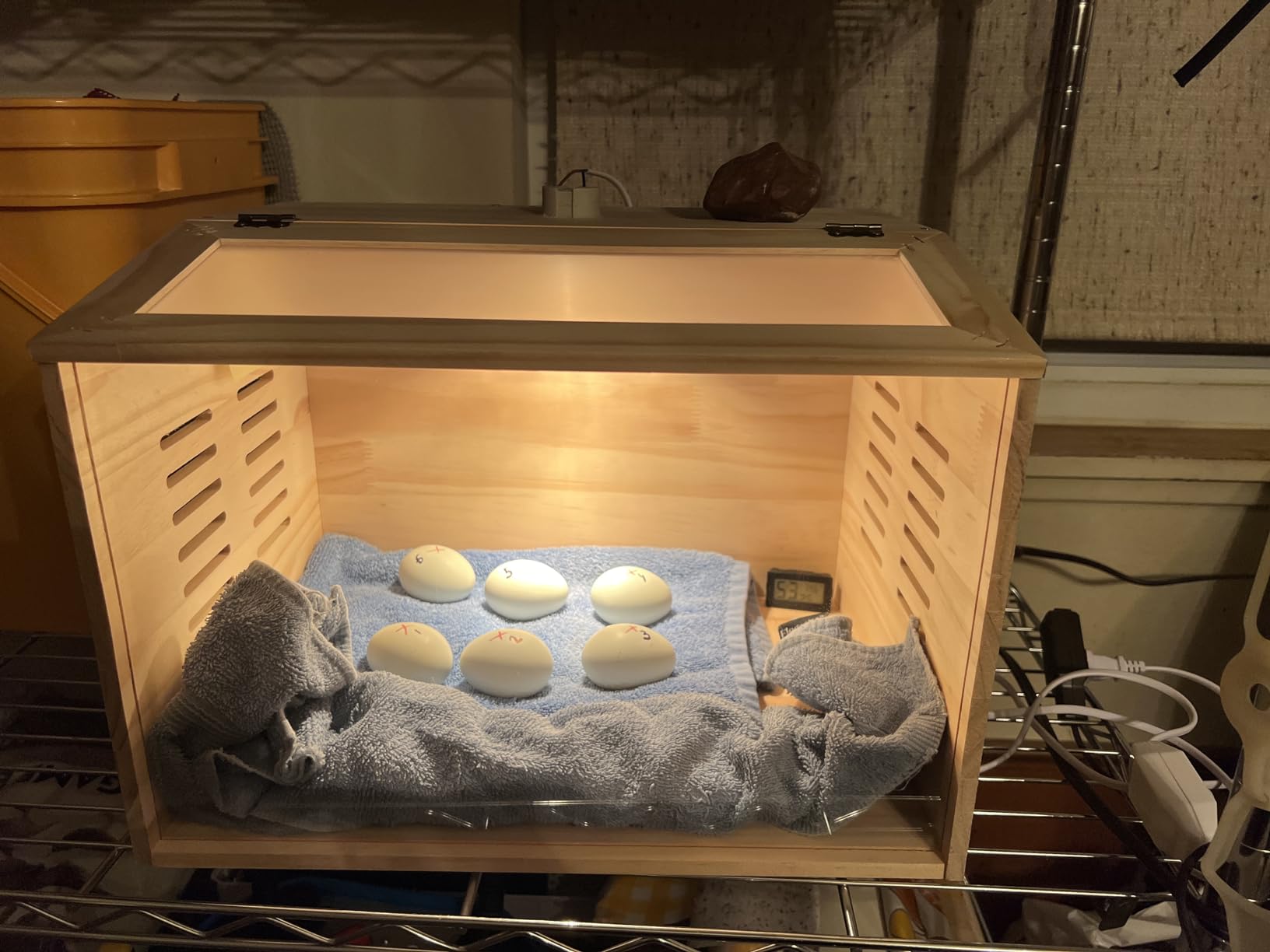 Brooder Box for Chicks, Chicken Brooder with Heater for Baby Poultry customer photo 2