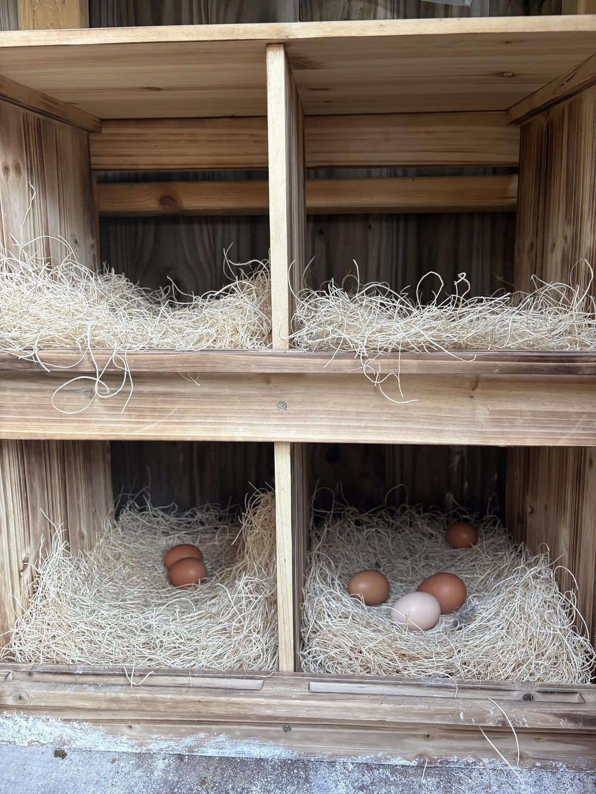 Nesting Boxes for Chickens - Wooden Chicken Nesting Box for Poultry Heavy Duty 4 Compartments Laying Eggs Nest Box Wall Mount for Chickens, Hens, Ducks customer photo 1