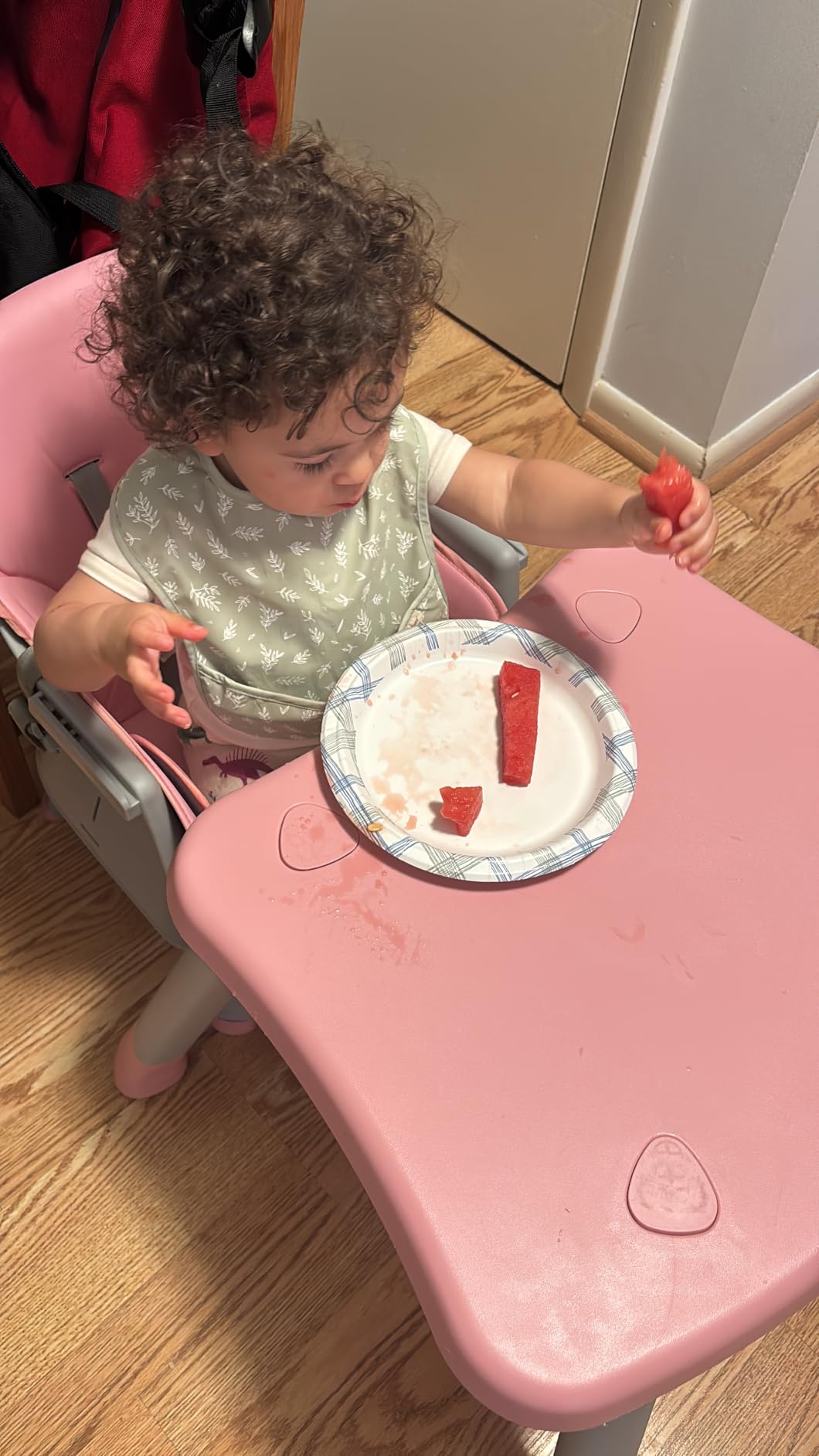 Kinder King 8 in 1 Baby High Chair for Babies and Toddlers, Booster Chair customer photo 1