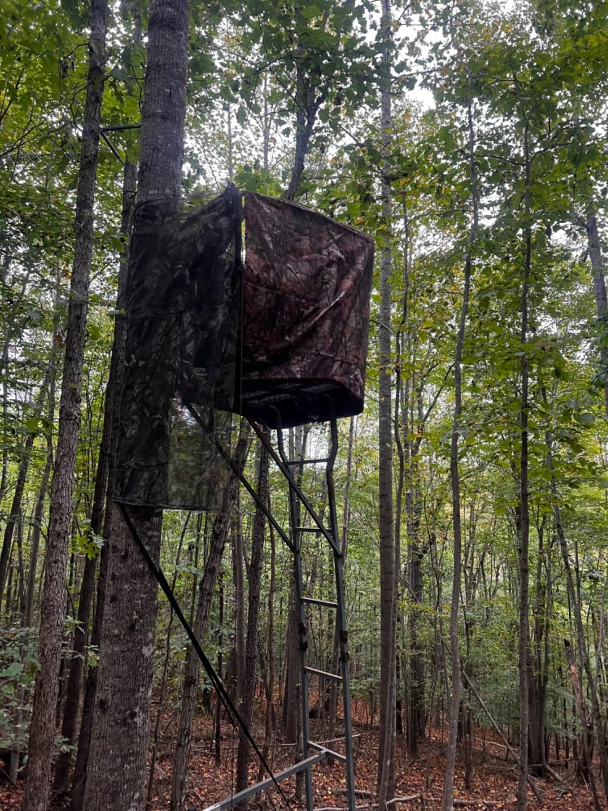 Hunting Tree Stand Camo Blinds Cover with Zipper(Frames Not Included) customer photo 2