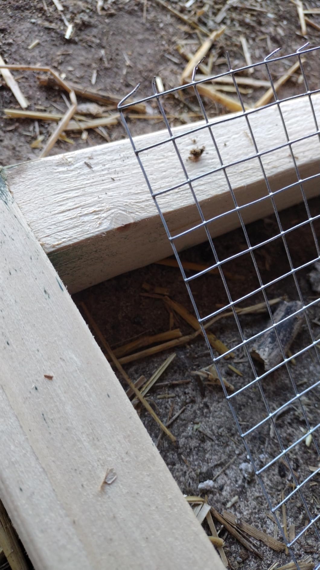 SANZEUS Hardware Cloth, 48in x 100ft 1/2in Mesh, 19GA Chicken Wire Fencing customer photo 1