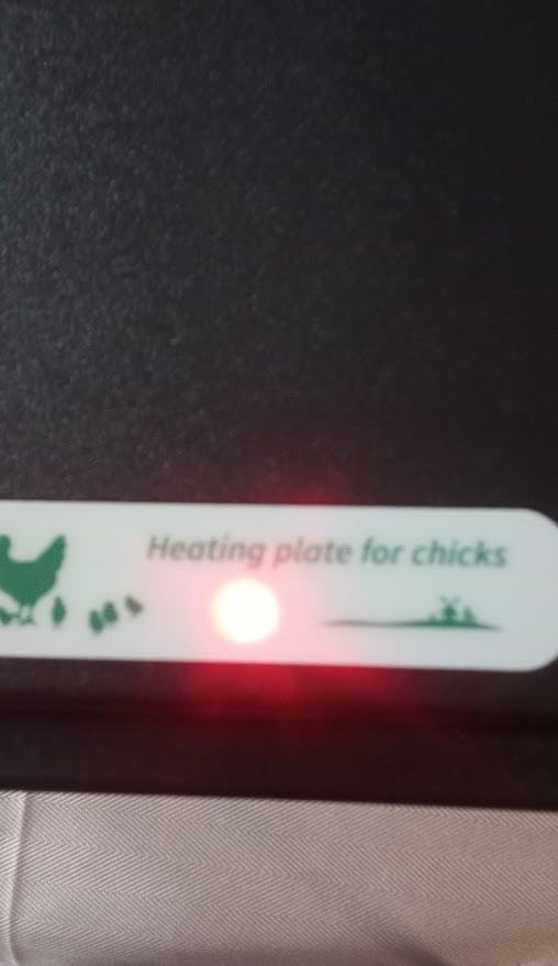 Tetuga Brooder Heat Plate 12 X 16” Chick Heating Plate Warm Up to 30 Chicks customer photo 2