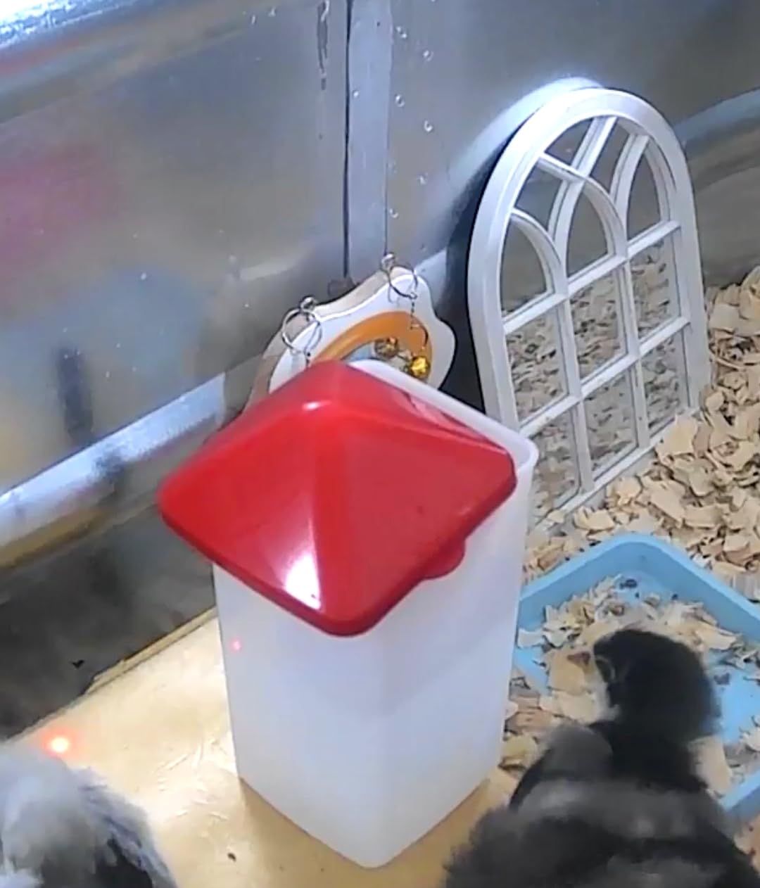 ZenxyHoC Baby Chick Waterer with Nipple Drinker 0.26 Gal (White) customer photo 1