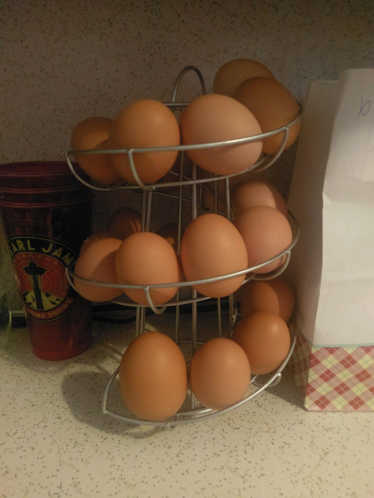 Flexzion Egg Basket and Spiral Countertop Holder, 36-Egg, Silver Metal customer photo 1
