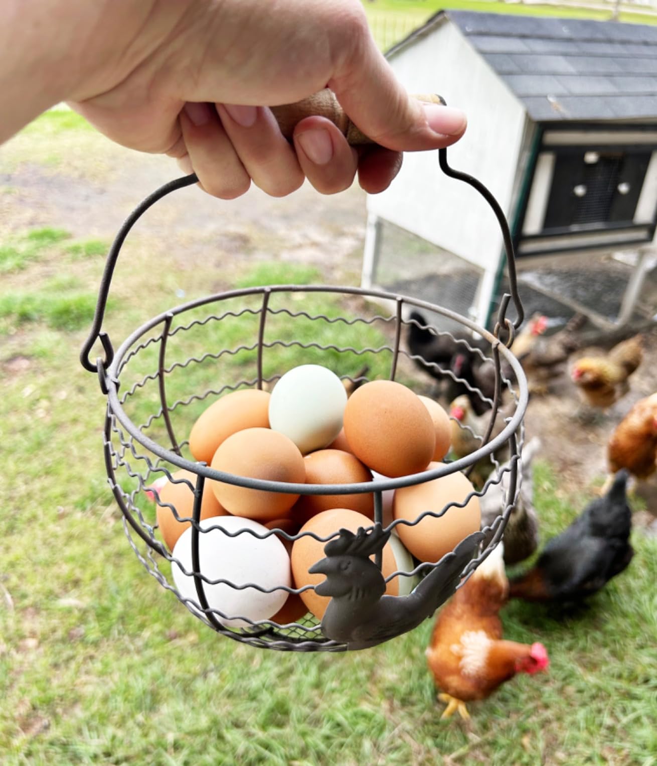 Wire Egg Basket for Gathering Fresh Eggs, Rustic with Rooster & Wood Handle customer photo 1