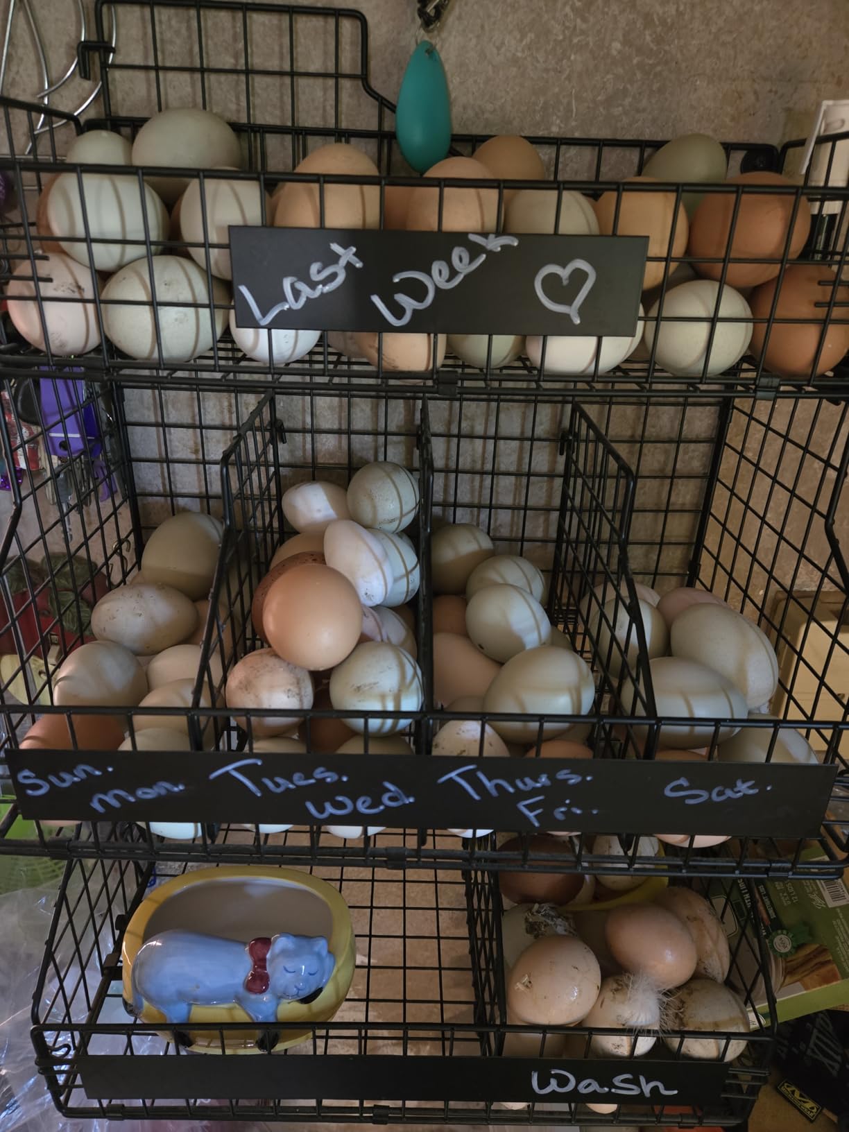 Egg Holder Countertop with 5 Dividers & DIY Nameplate to Separate Eggs customer photo 1
