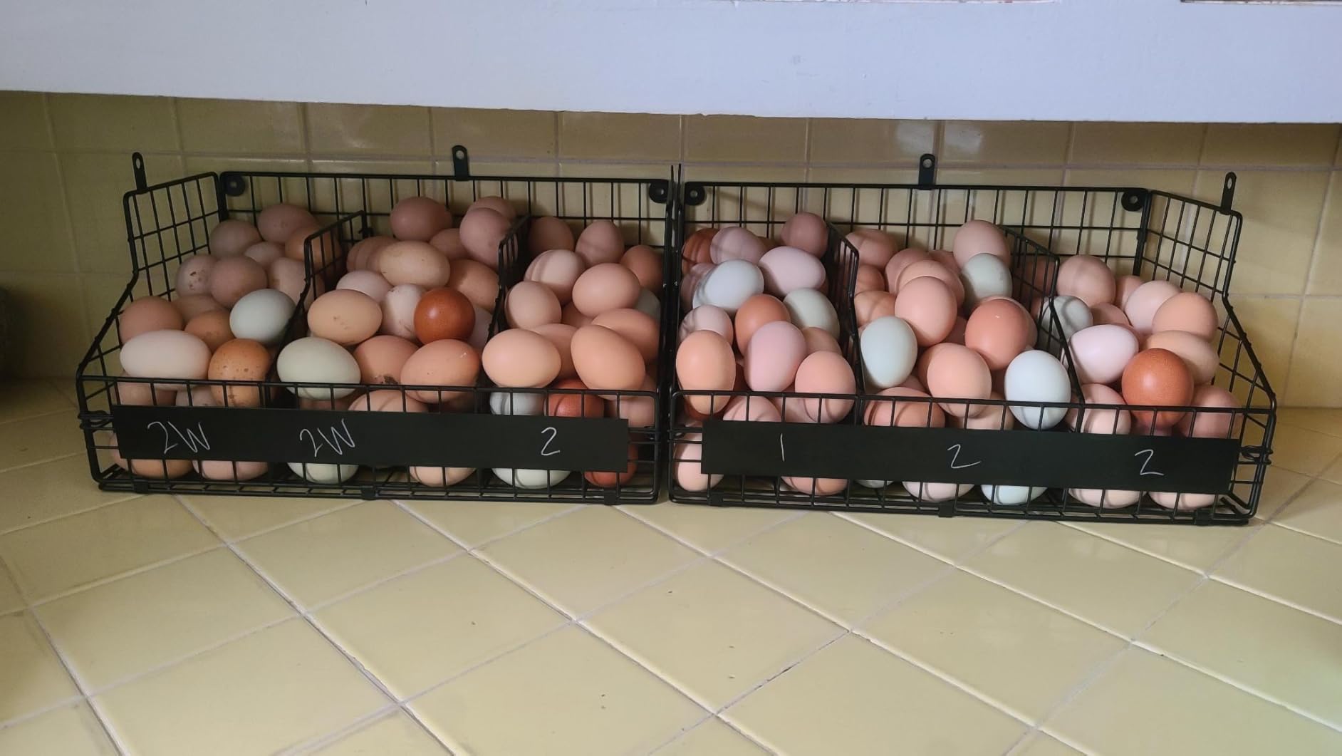 Egg Holder Countertop with 5 Dividers & DIY Nameplate to Separate Eggs customer photo 2
