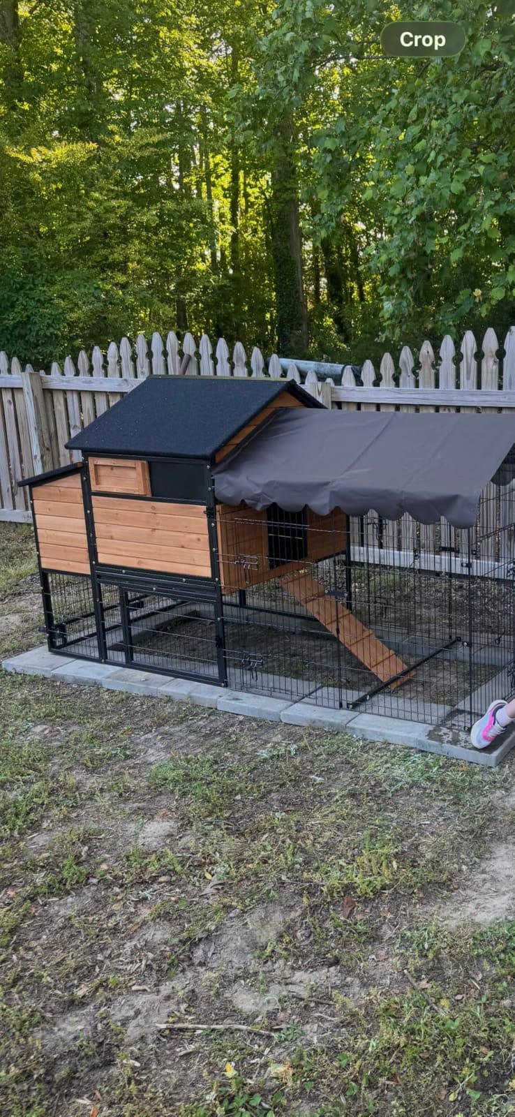 Mobile Chicken Coop for 6-8 Hens, All-Steel Frame Hen House with Wheels Portable Poultry Cage, Metal Run & Nesting Box Duck Coop Large customer photo 2