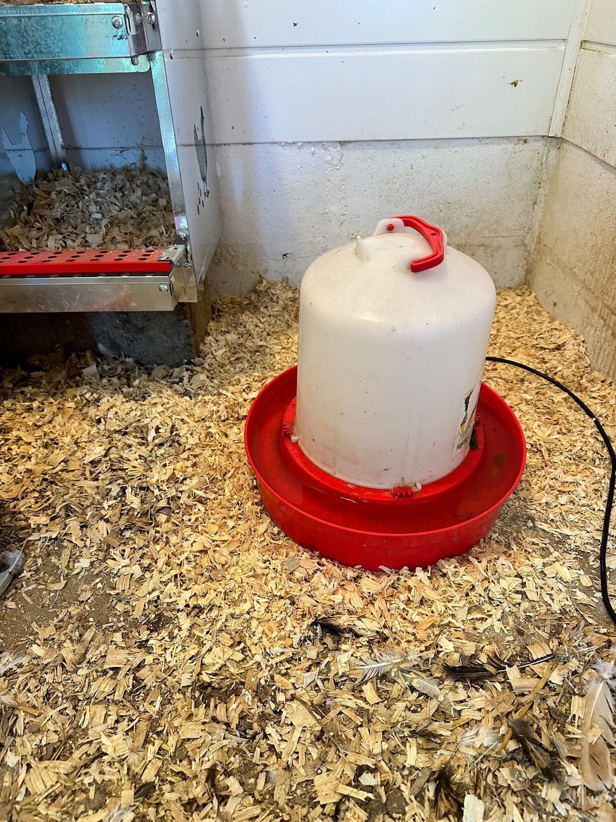Chicken Water Heater for Winter， Heated Poultry Waterer Base,with Thermostat and 9.8ft Power Cord, Dia.11in customer photo 1