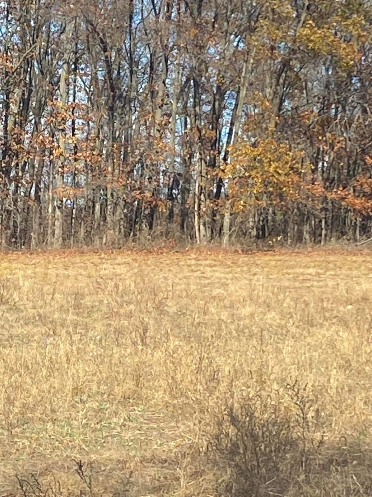 See Through Hunting Tree Stand Blind Kit, 102