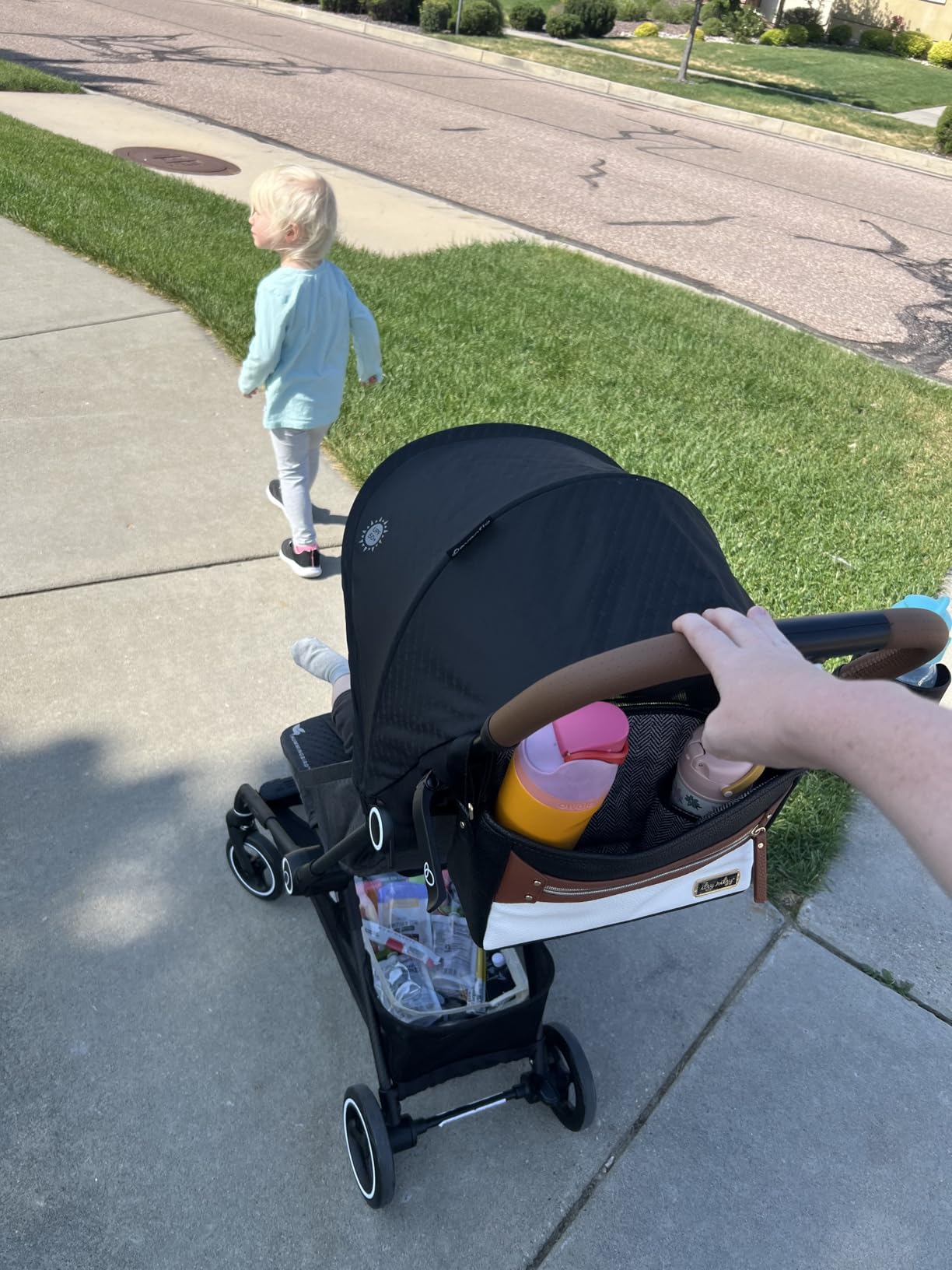 Evenflo Hummingbird Ultra-Lightweight Carbon Fiber Stroller (Calypte Pink) customer photo 1