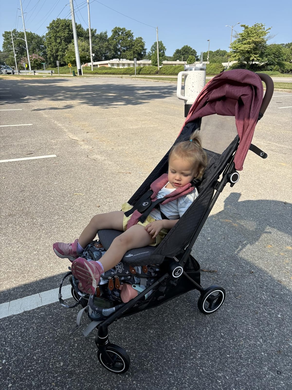 Evenflo Hummingbird Ultra-Lightweight Carbon Fiber Stroller (Calypte Pink) customer photo 2