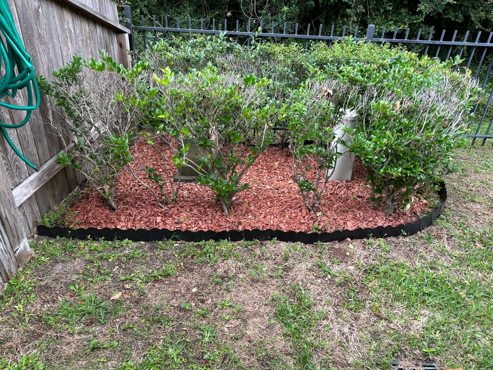 AGTEK Garden Edging 49FT Landscape Edging Kit 3 Inch Height with 30 Stakes customer photo 2