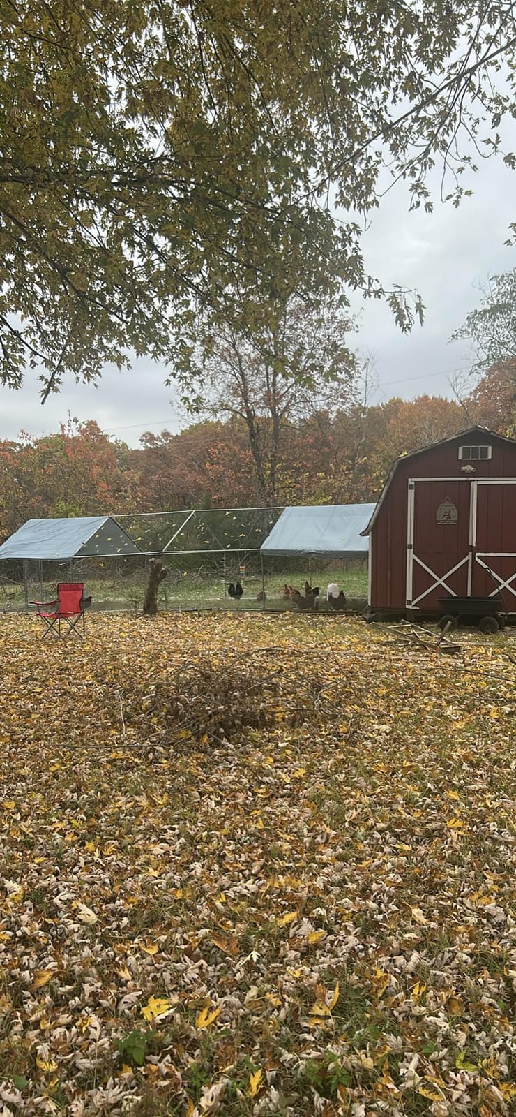 PawHut Large Chicken Coop w/Waterproof Anti-UV Cover 33' x 10' x 6.4' customer photo 2