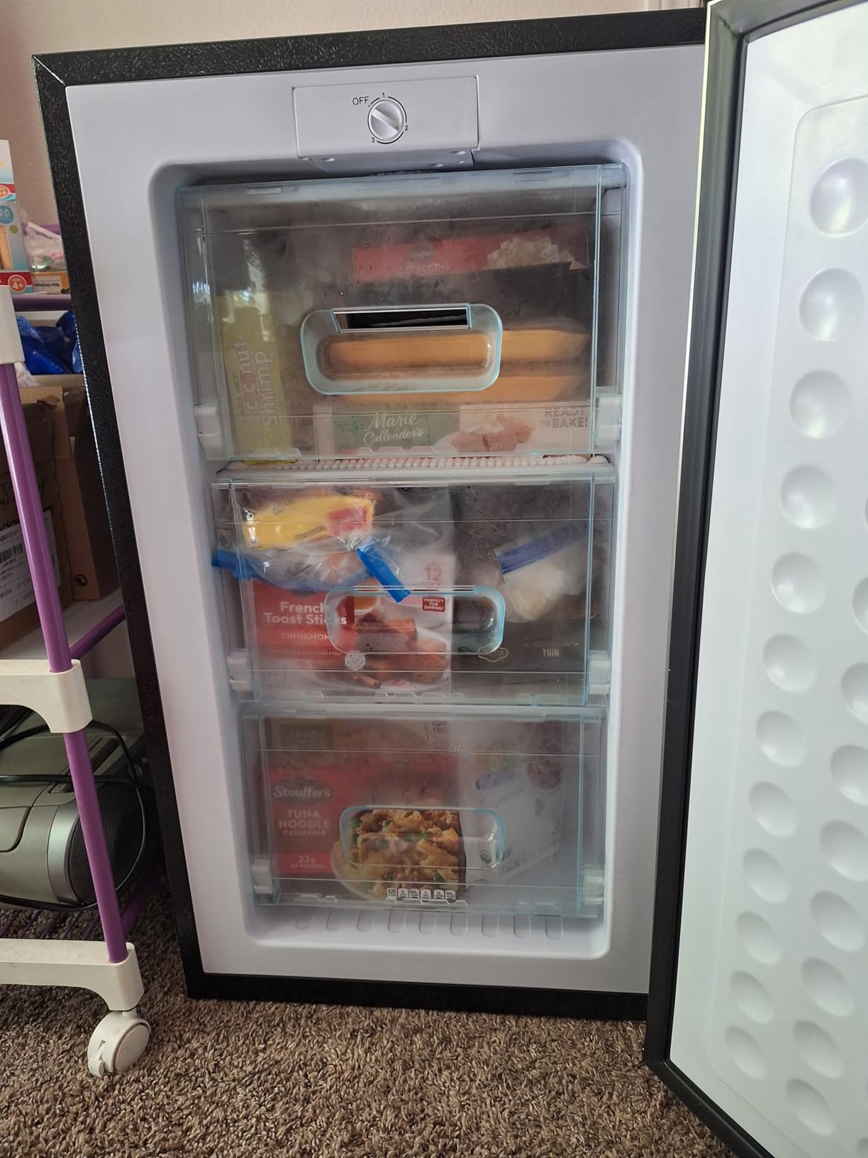 BODACIOUS Mini Upright Freezer - 3.2 Cu.Ft Compact Small Freezer - Black customer photo 1