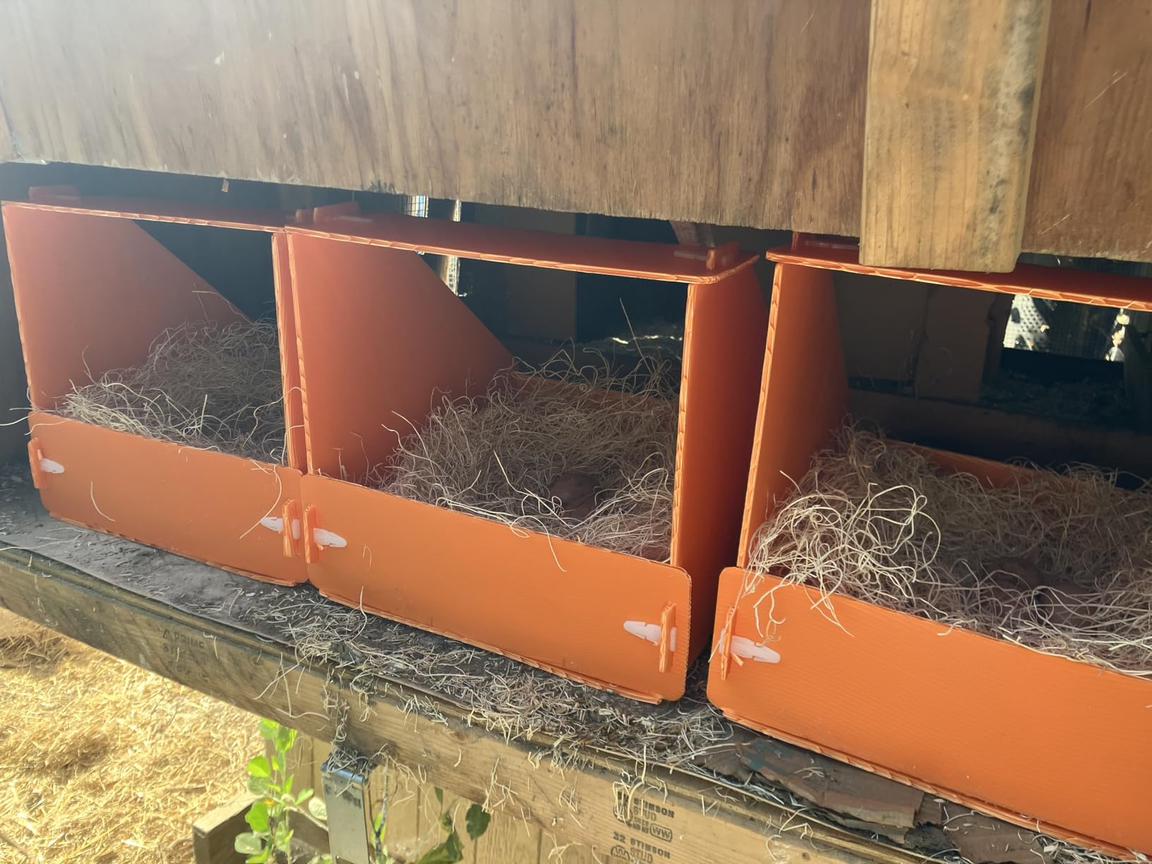 Touri 6 Pcs Chicken Nesting Boxes, Durable customer photo 2