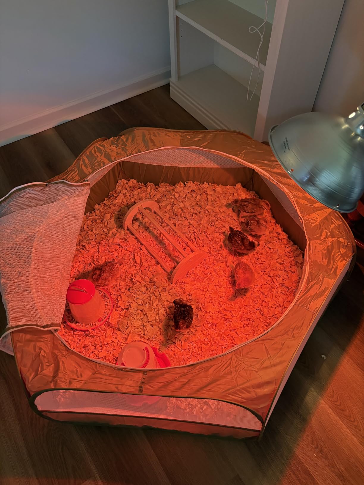 Pawaboo Chick Brooder Box for Chick Starter Kit, Red+Black customer photo 1