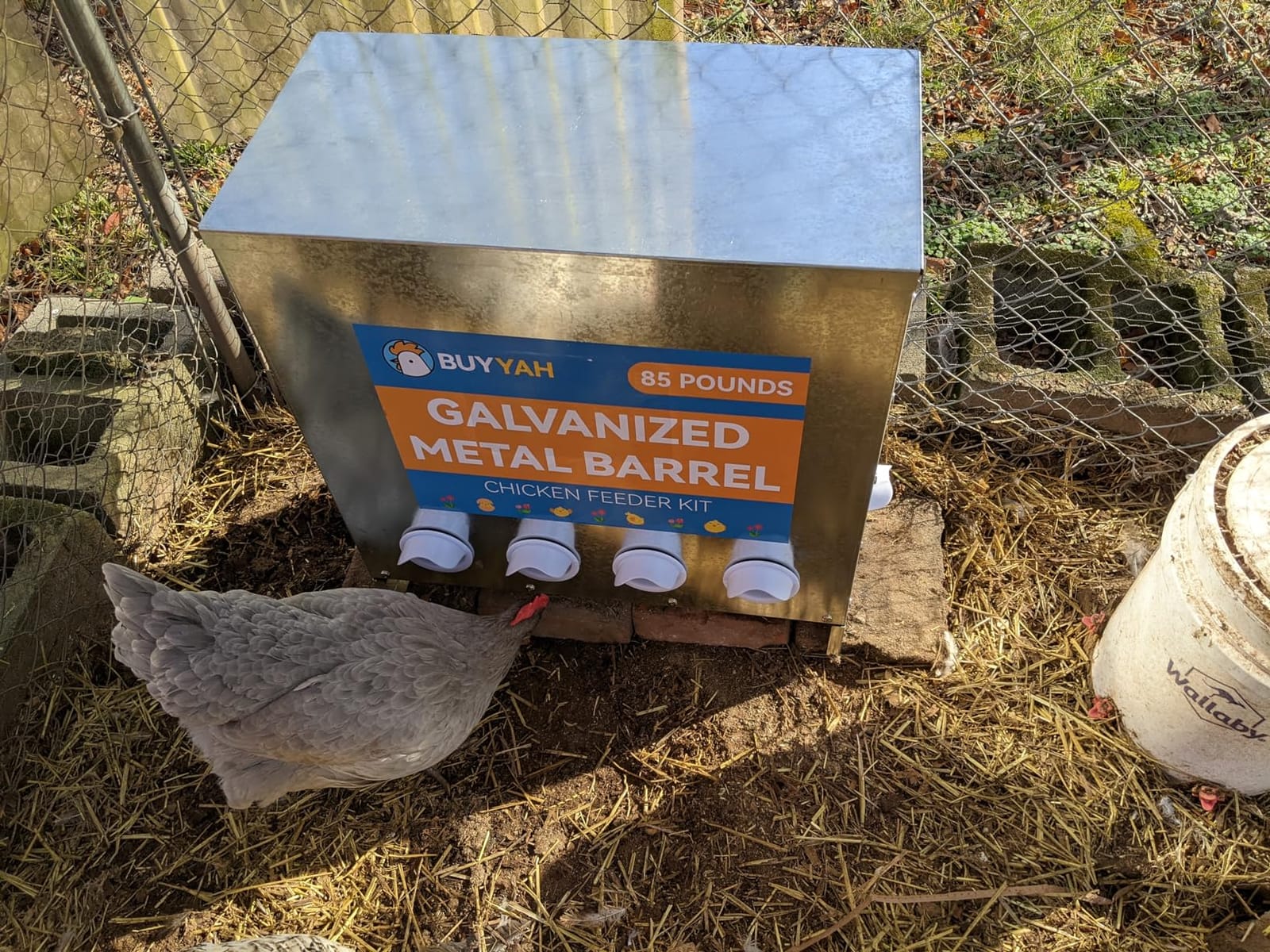 60-90lb Automatic Chicken Feeder customer photo 1