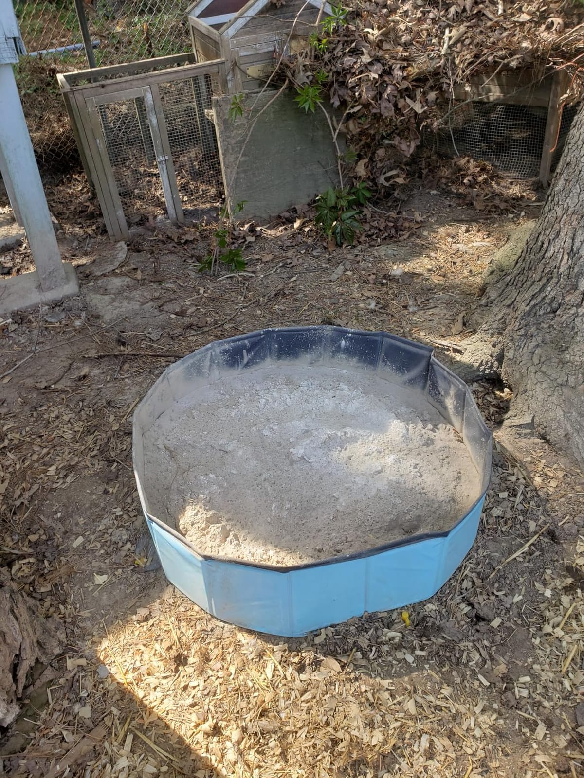 Chicken Dust Bath Tub - 32
