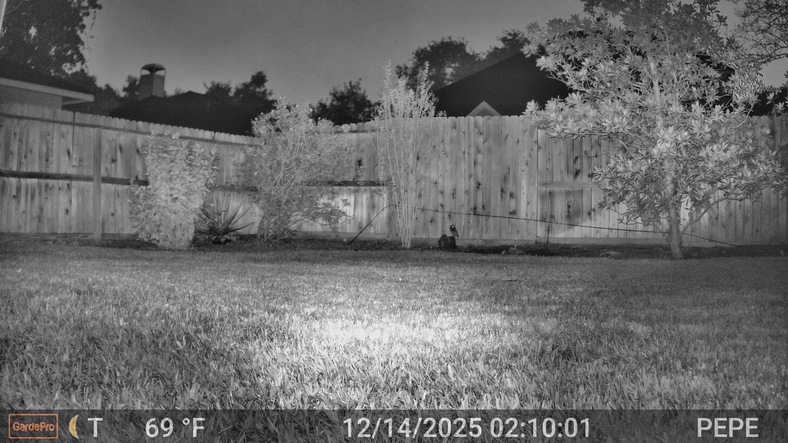 GardePro E8 2.0 WiFi Bluetooth Trail Camera, 4K Video, Dual Antennas customer photo 2