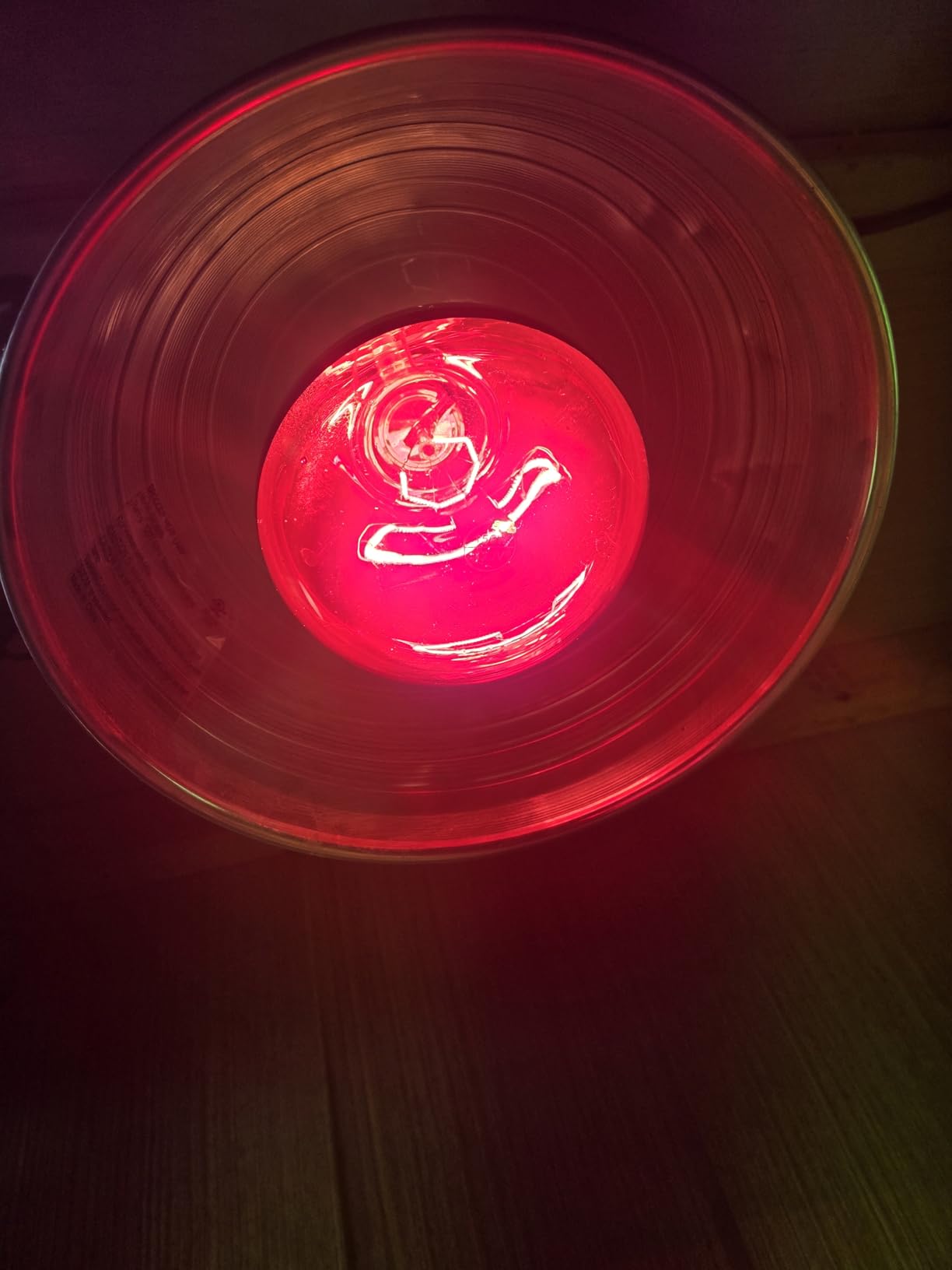 250W Infrared Heat Lamp for Chicken, Red Heat Light Bulb R125 2 Pack, Heat Lamp Bulb for Chick Croop, Reptiles, Pets, Food customer photo 2