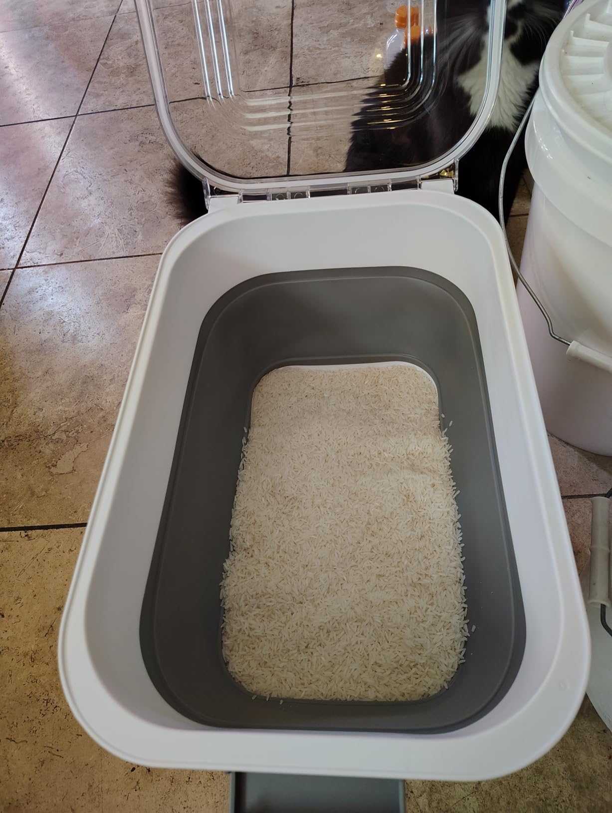 Komzon Rice Storage Container 10-40 lb, 25 lb Pet Dog Food Storage Container, Collapsible Airtight Rice Container,Rice Dispenser Bin with Cup and Scoop for Flour Cereal Pasta Grain, Cat Bird Food customer photo 1