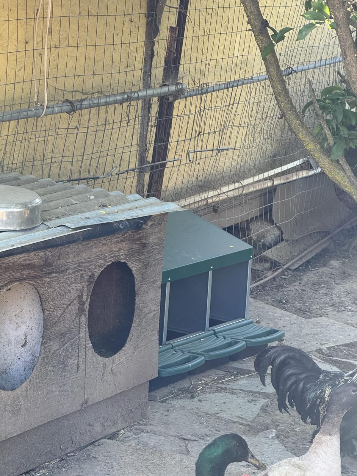 Chicken Nesting Boxes for Laying Eggs, Roll Away Nesting Boxes for Chickens customer photo 1