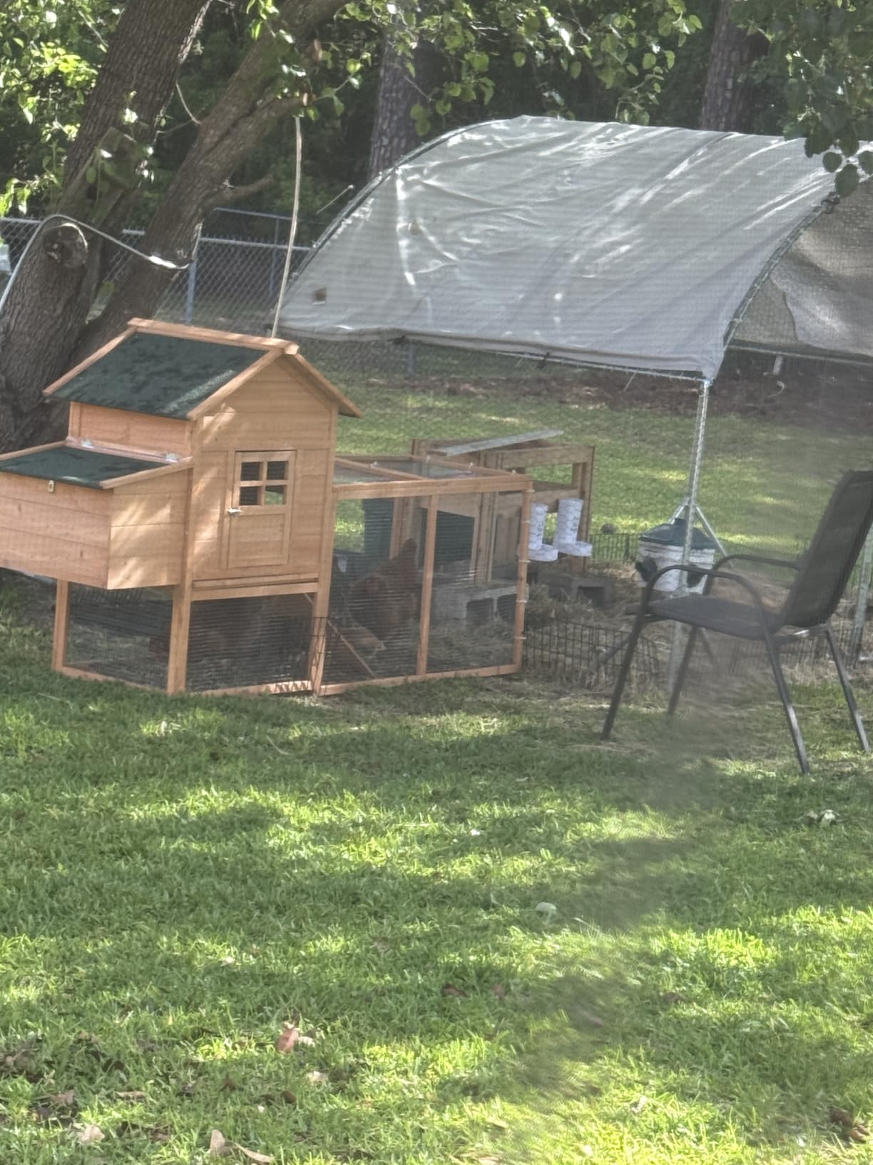 Outdoor Chicken Coop with Wheels, 79'' Mobile Chicken House for 4 Chickens customer photo 1