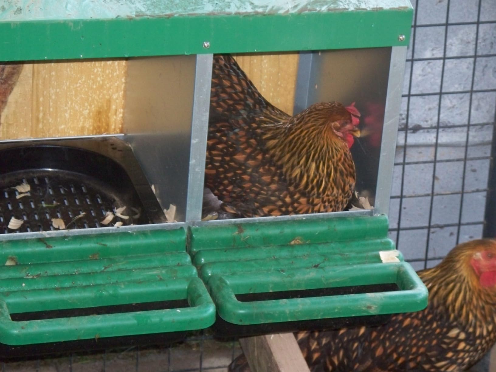 Eggluuz Chicken Nesting Box, 6 Compartments Egg Laying Nests Boxes for Hens customer photo 1