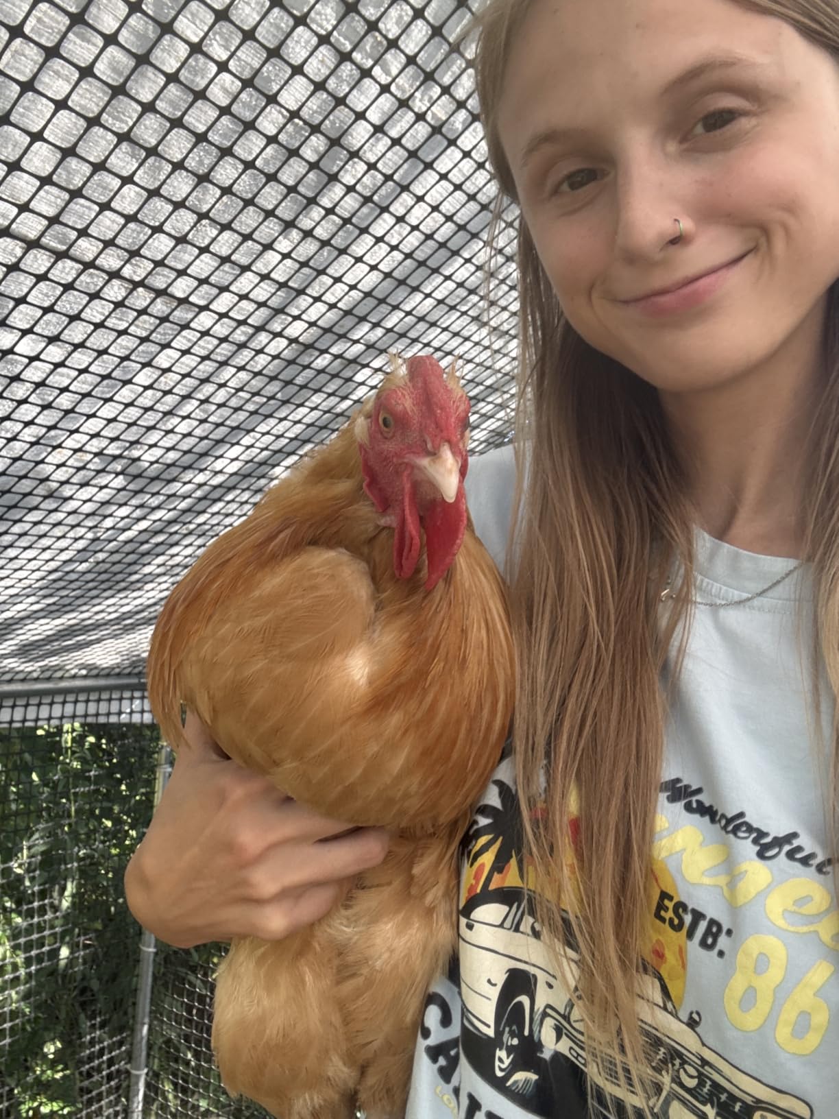 CAMMOO Walk in Chicken Coop, 19.7x9.8x6.6ft Chicken Run for Yard with Cover customer photo 1