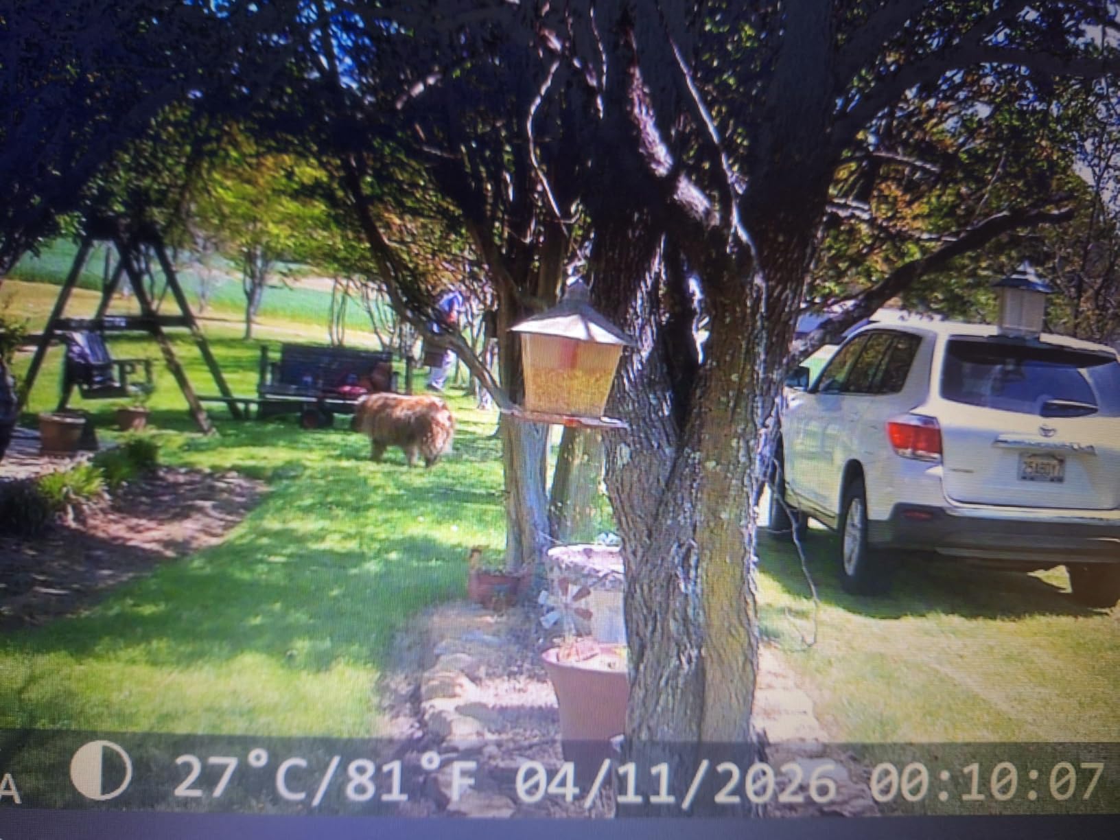 4K 64MP Solar Trail Camera WiFi, 32GB SD Card,Night Vision Motion Activated customer photo 2