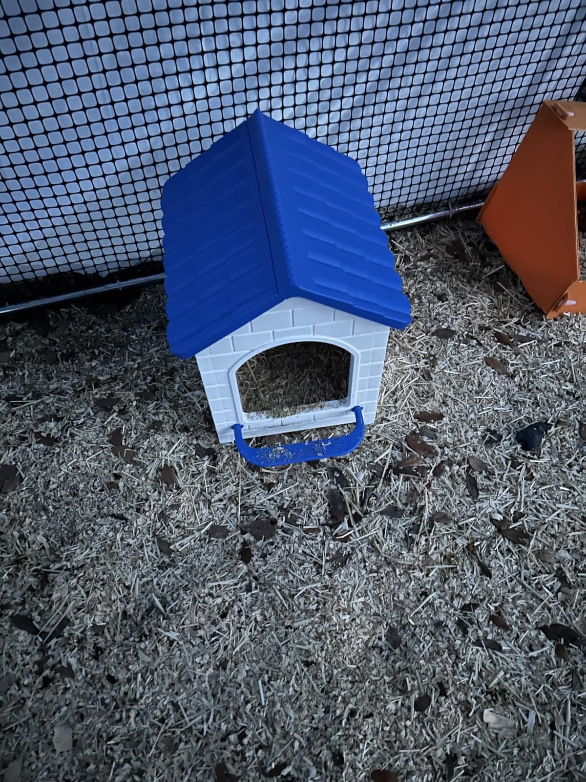 Chicken Coop with Run, Plastic Chicken Coops with Extension, Large customer photo 2