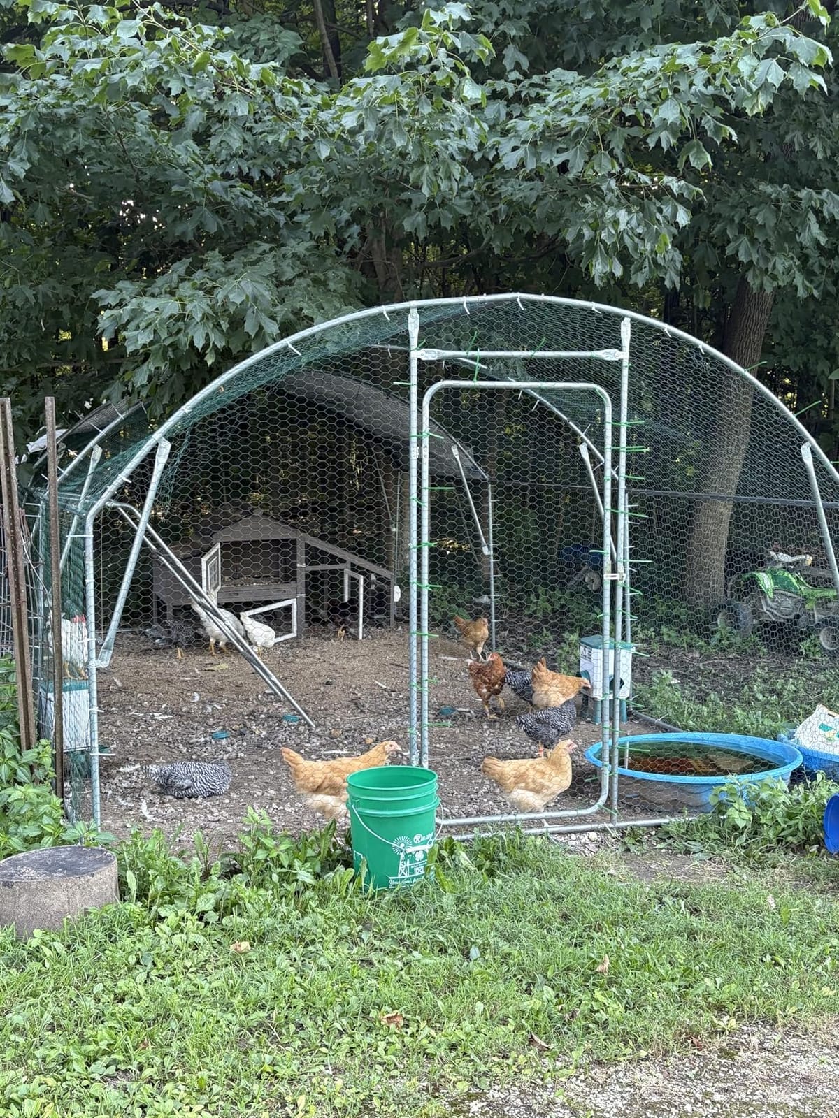 Quictent Essential Series 12x9ft Metal Chicken Coop Run w/Climbing Ladder customer photo 1