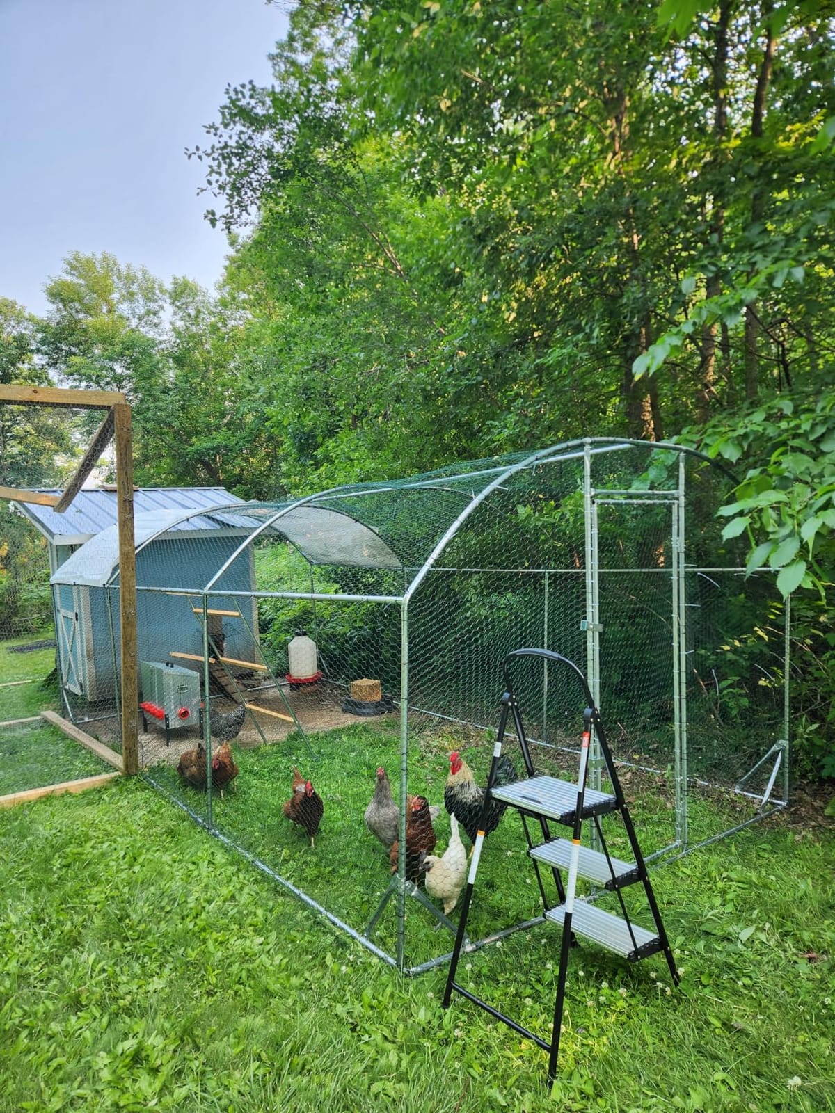 Quictent Essential Series 12x9ft Metal Chicken Coop Run w/Climbing Ladder customer photo 2