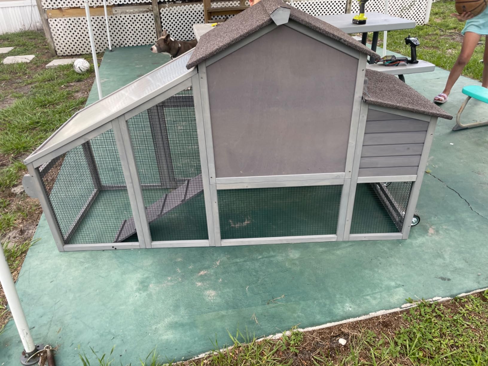 80.5’’ Large Chicken Coop with Run, Mobile Chicken House with Nesting Box and Leakproof Pull-on Tray, Wooden Hen Poultry Cage with Waterproof Roof for 2 to 4 Chickens, Chicken Tractor with Wheels customer photo 2
