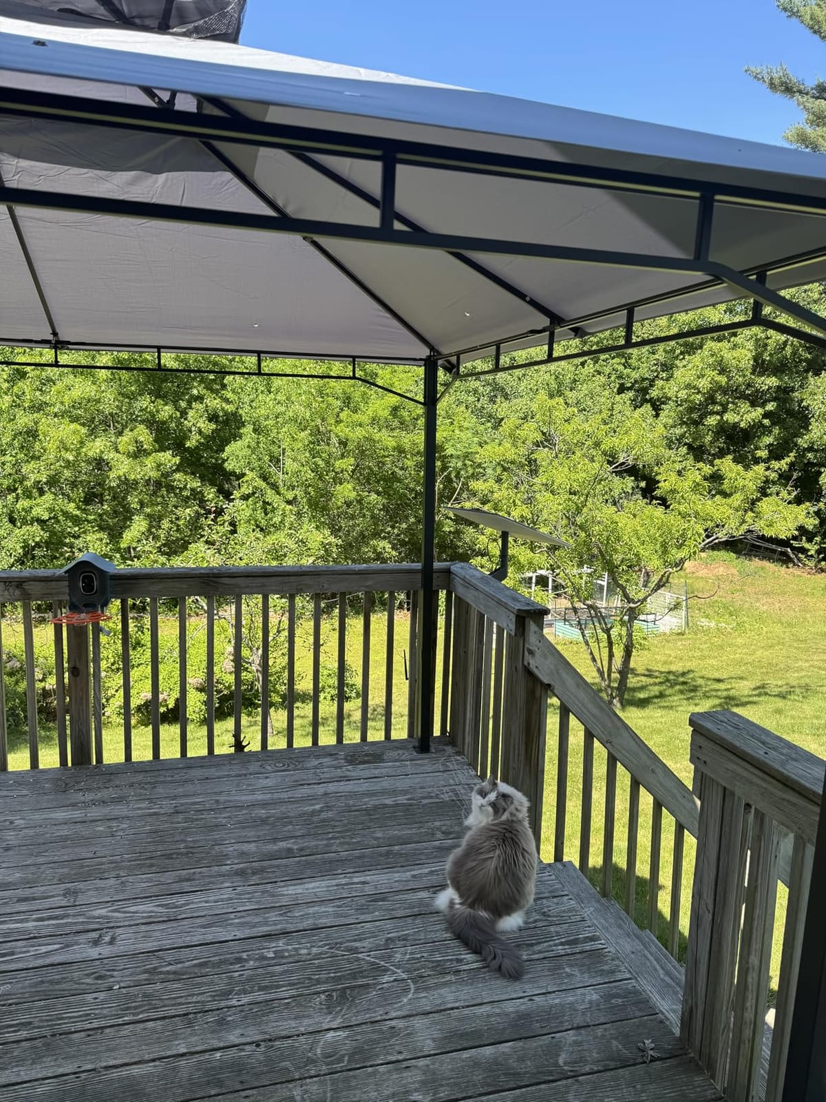 Aoxun 12x10 Outdoor Gazebo with Mosquito Netting & Double Roof, Gray customer photo 1