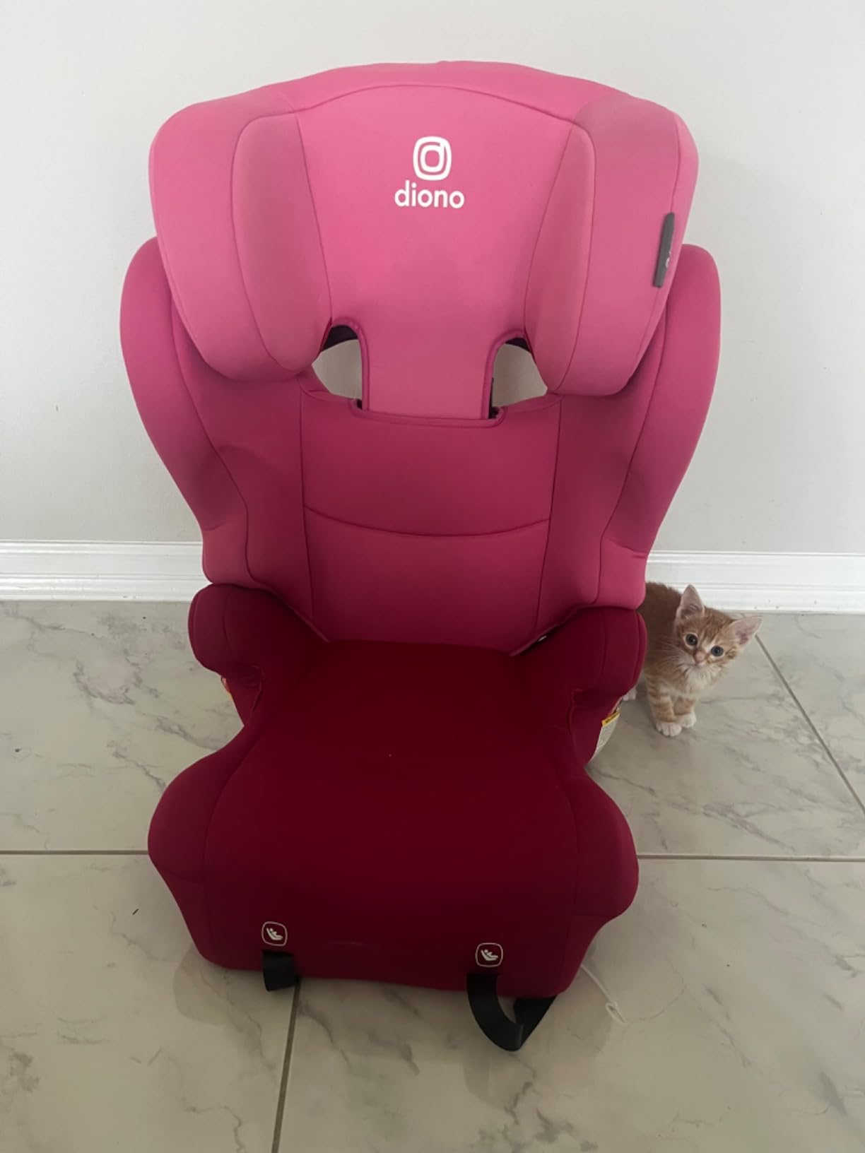 Diono Cambria LE, 2-in-1 Belt Positioning Booster Seat,Backless and High-Back Booster seat for Children from 40—120 lb,17