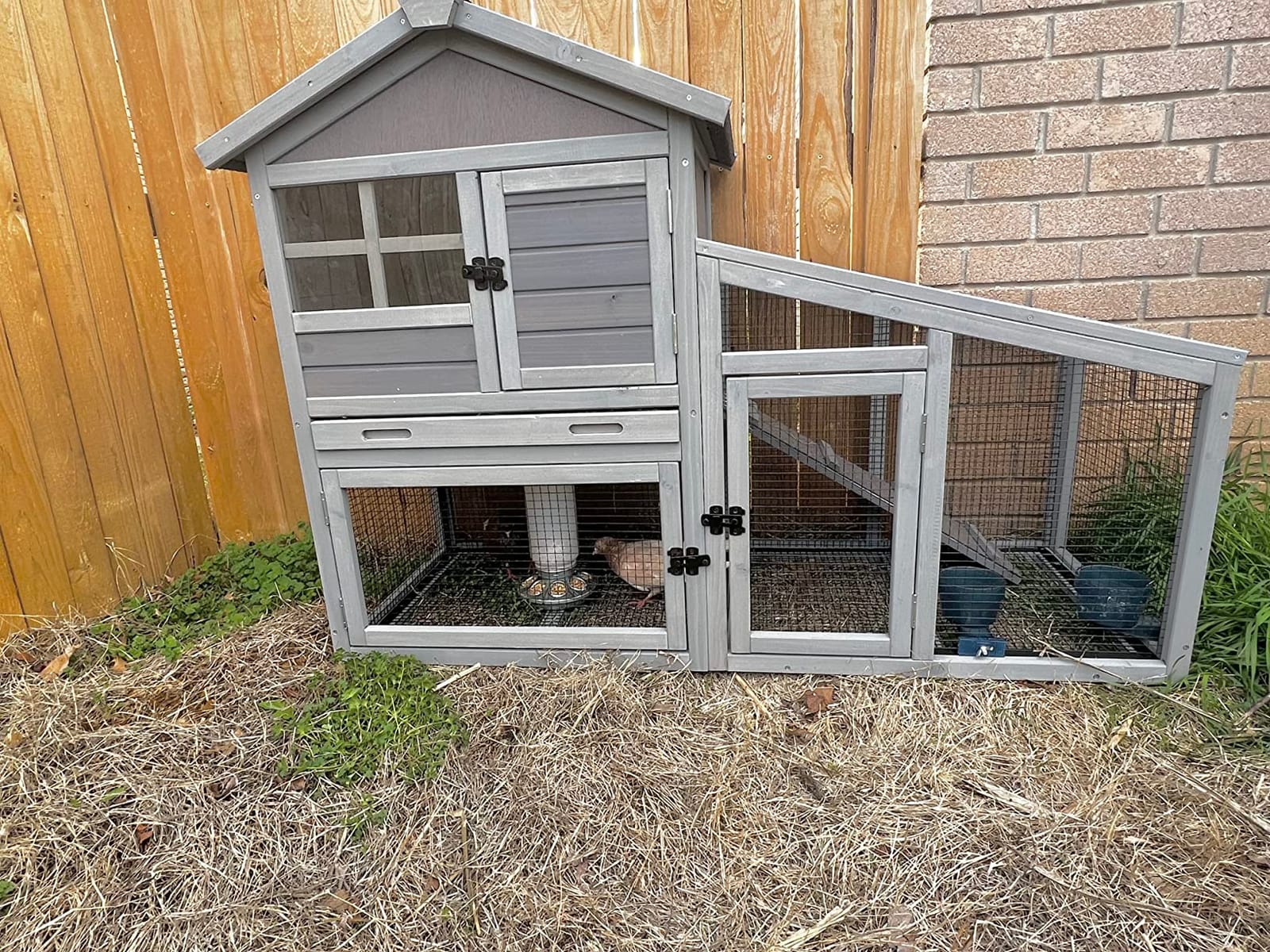 Wooden Chicken Coop, Large Chicken Tractor with Wheels, Weatherproof Hen House with Nest Box and Removable Tray, Mobile Poultry Hutch for 2-4 Chickens, Rabbits & Ducks (Red) customer photo 2